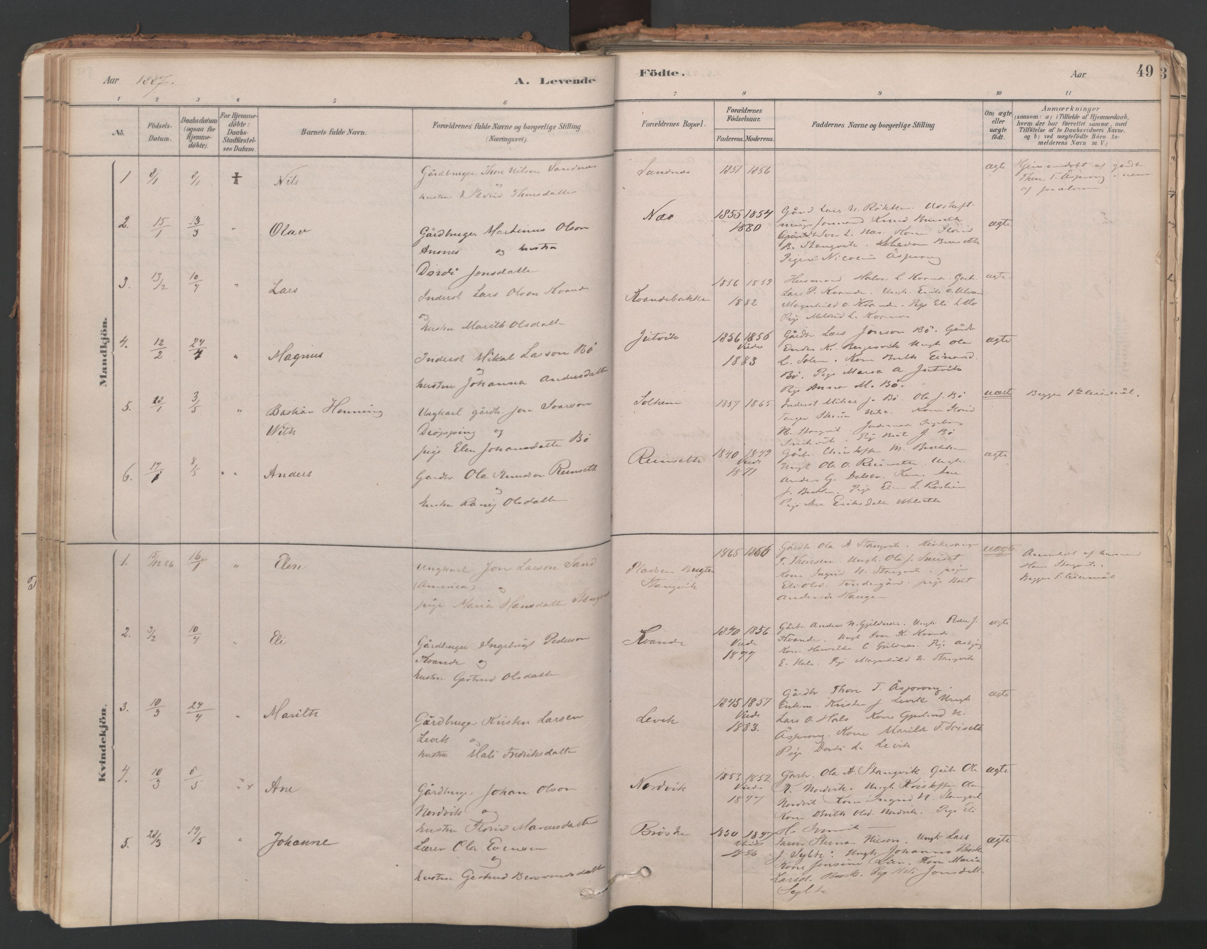 Ministerialprotokoller, klokkerbøker og fødselsregistre - Møre og Romsdal, SAT/A-1454/592/L1029: Ministerialbok nr. 592A07, 1879-1902, s. 49