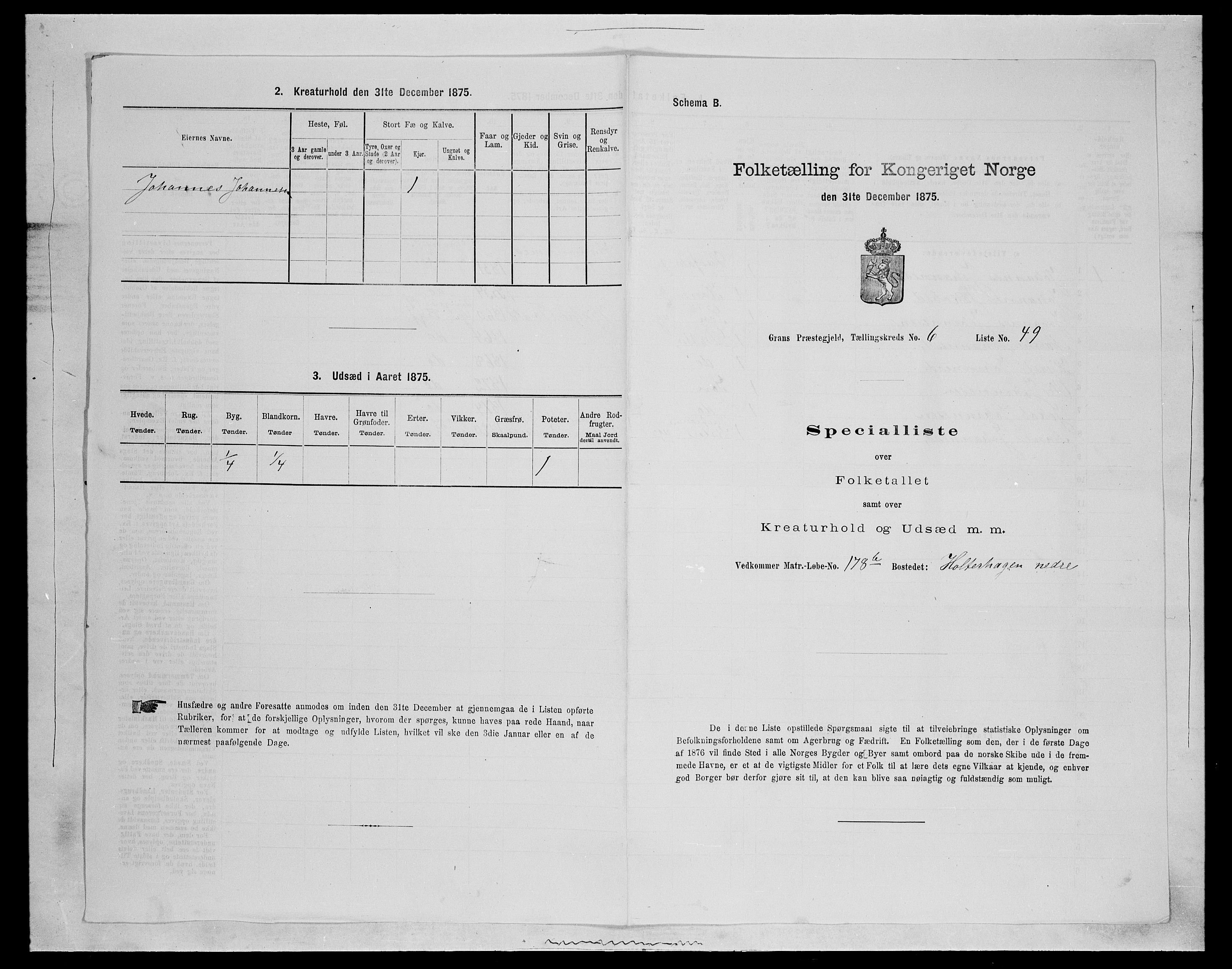 SAH, Folketelling 1875 for 0534P Gran prestegjeld, 1875, s. 1117