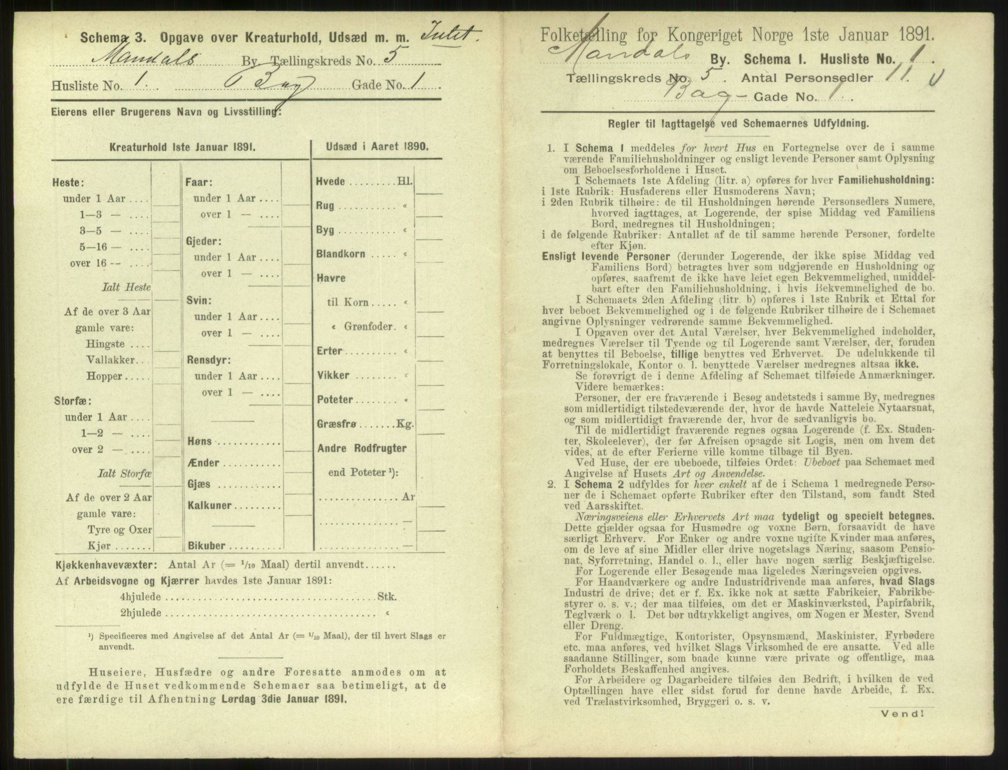 RA, Folketelling 1891 for 1002 Mandal ladested, 1891, s. 249