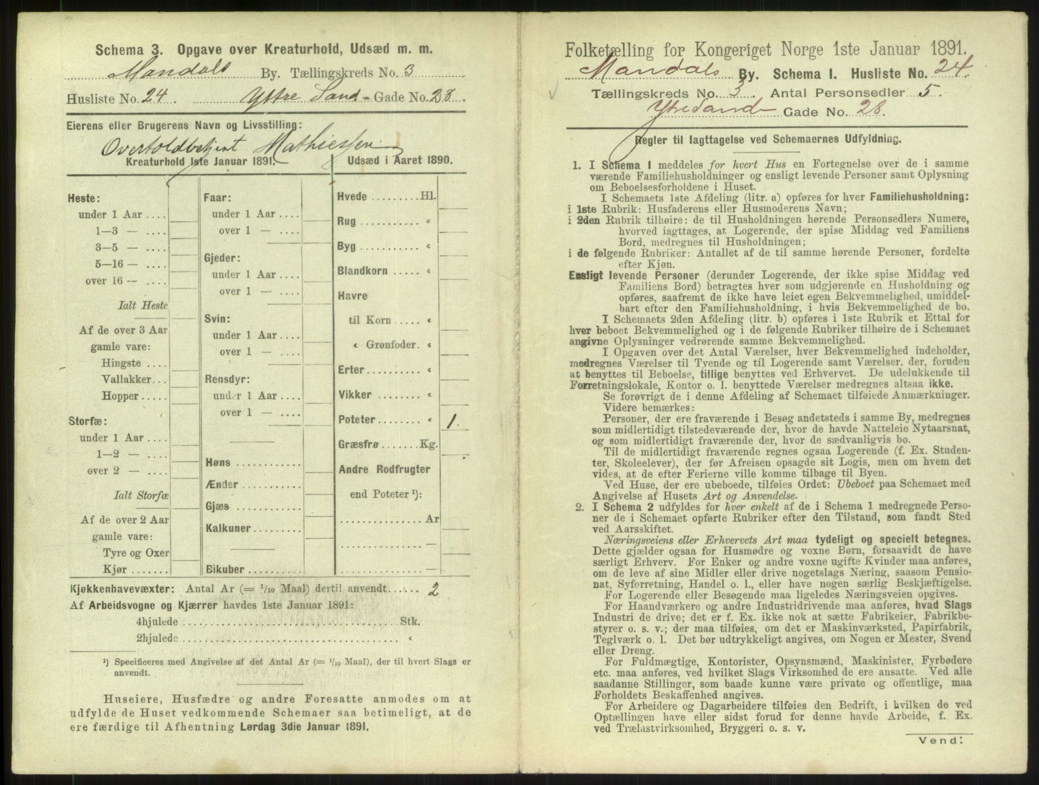 RA, Folketelling 1891 for 1002 Mandal ladested, 1891, s. 207