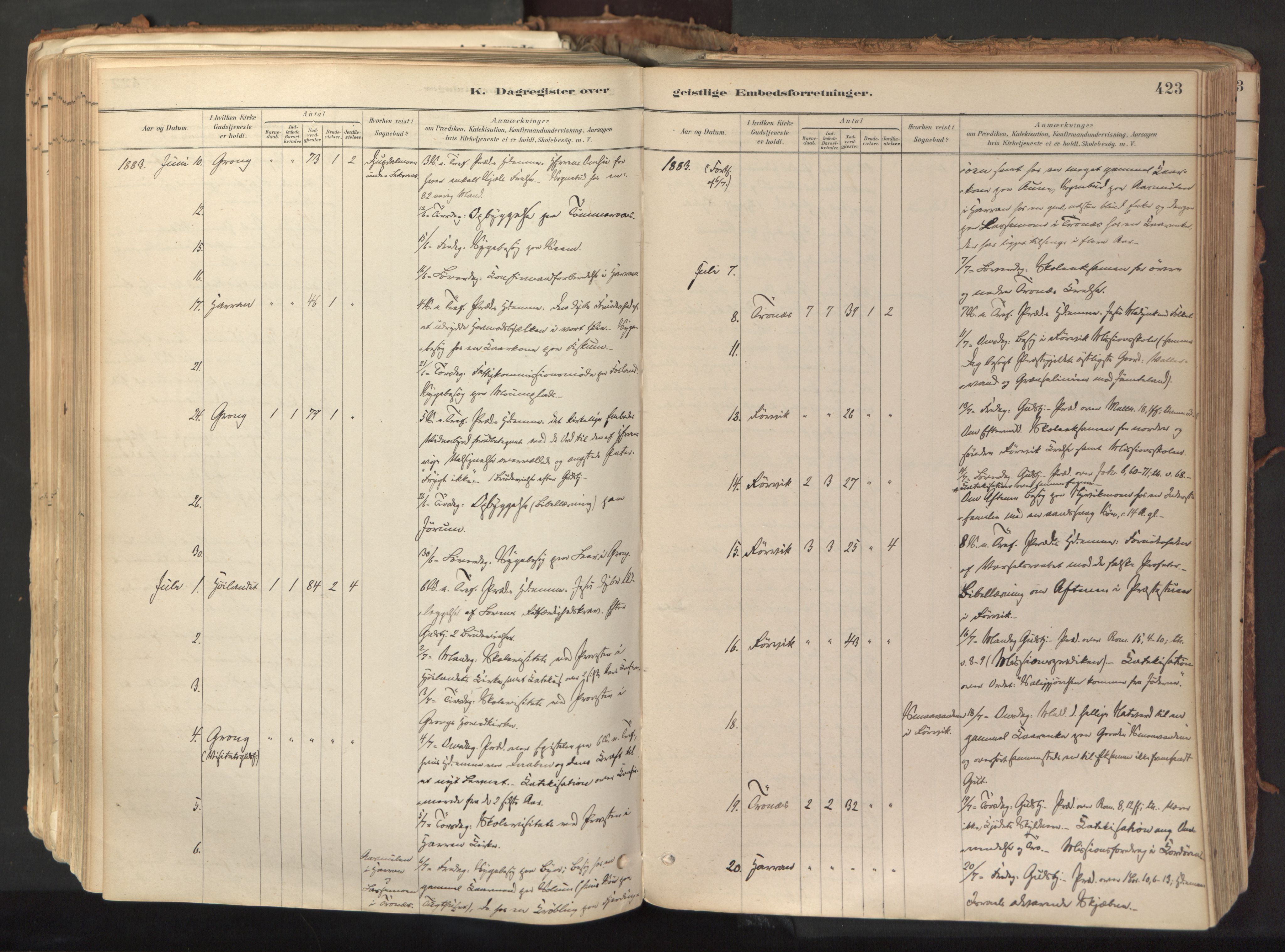 Ministerialprotokoller, klokkerbøker og fødselsregistre - Nord-Trøndelag, AV/SAT-A-1458/758/L0519: Ministerialbok nr. 758A04, 1880-1926, s. 423