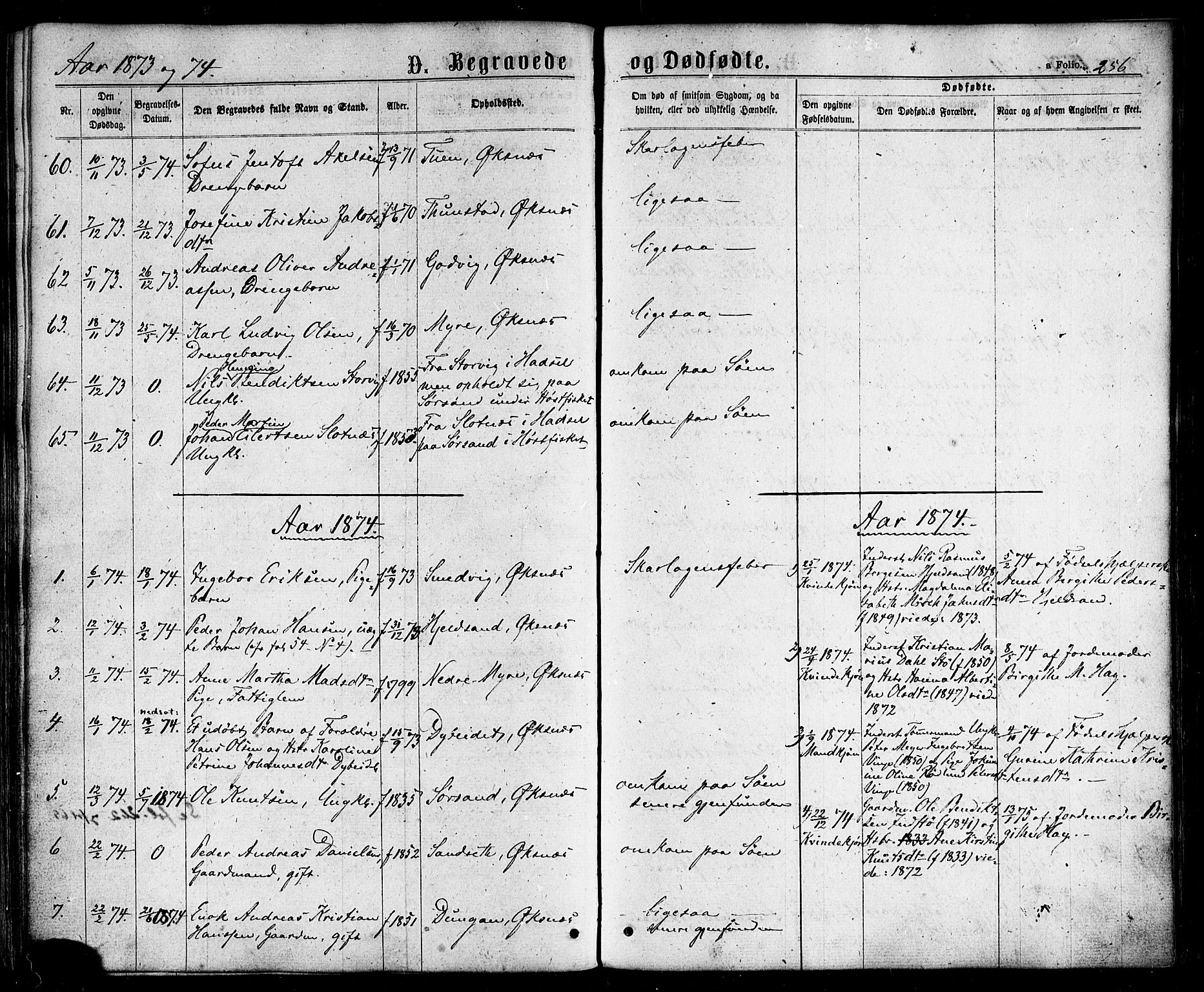 Ministerialprotokoller, klokkerbøker og fødselsregistre - Nordland, SAT/A-1459/893/L1334: Ministerialbok nr. 893A07, 1867-1877, s. 256