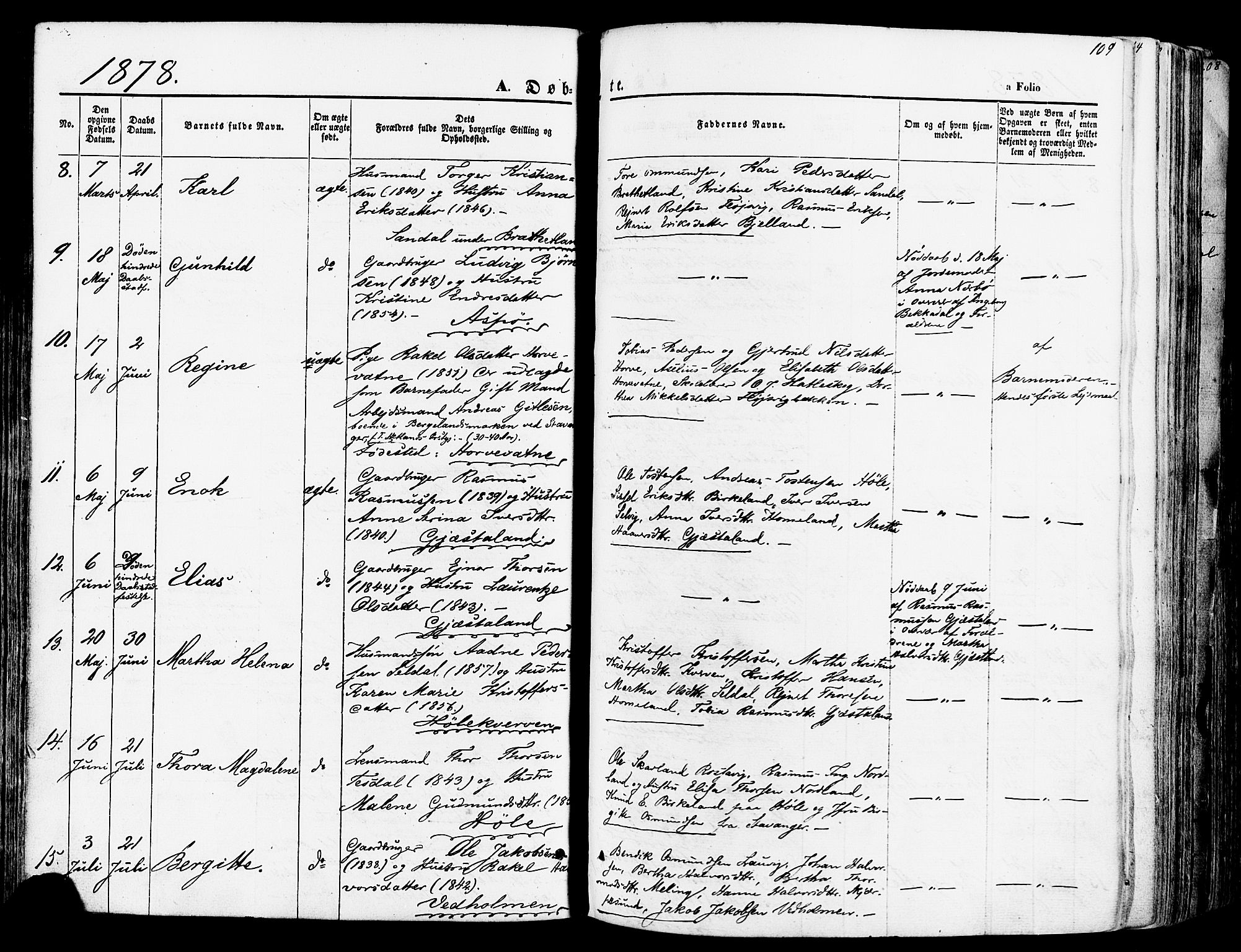 Høgsfjord sokneprestkontor, AV/SAST-A-101624/H/Ha/Haa/L0002: Ministerialbok nr. A 2, 1855-1885, s. 109