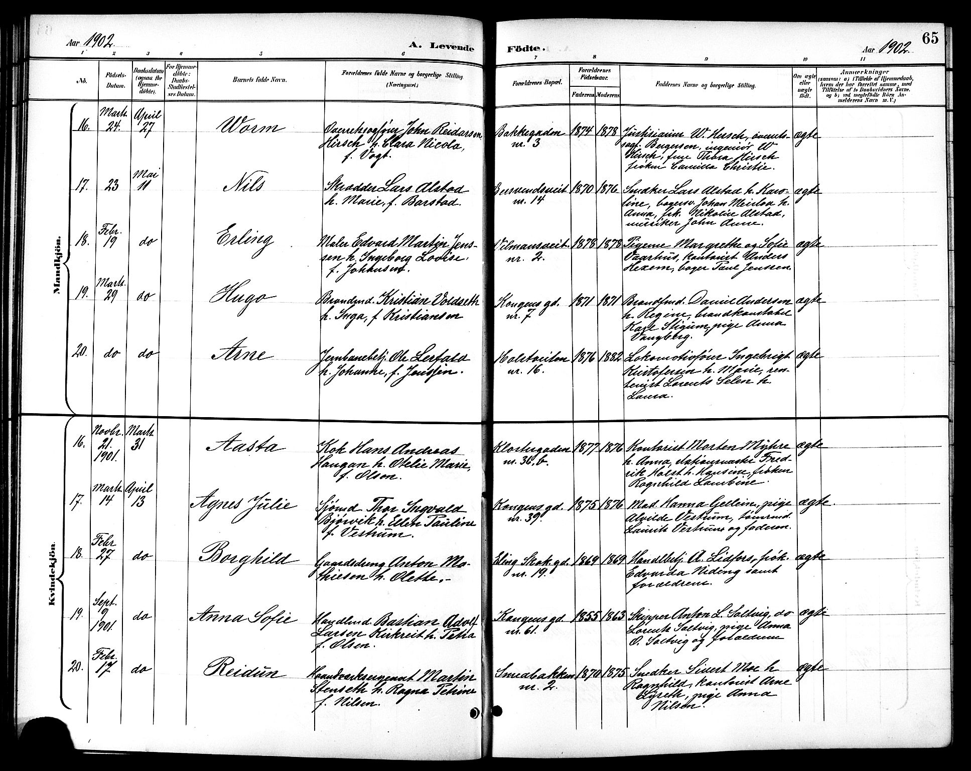 Ministerialprotokoller, klokkerbøker og fødselsregistre - Sør-Trøndelag, AV/SAT-A-1456/601/L0094: Klokkerbok nr. 601C12, 1898-1911, s. 65