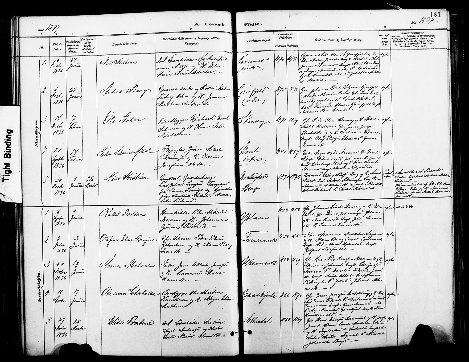 Ministerialprotokoller, klokkerbøker og fødselsregistre - Nordland, SAT/A-1459/827/L0421: Klokkerbok nr. 827C10, 1887-1906, s. 131