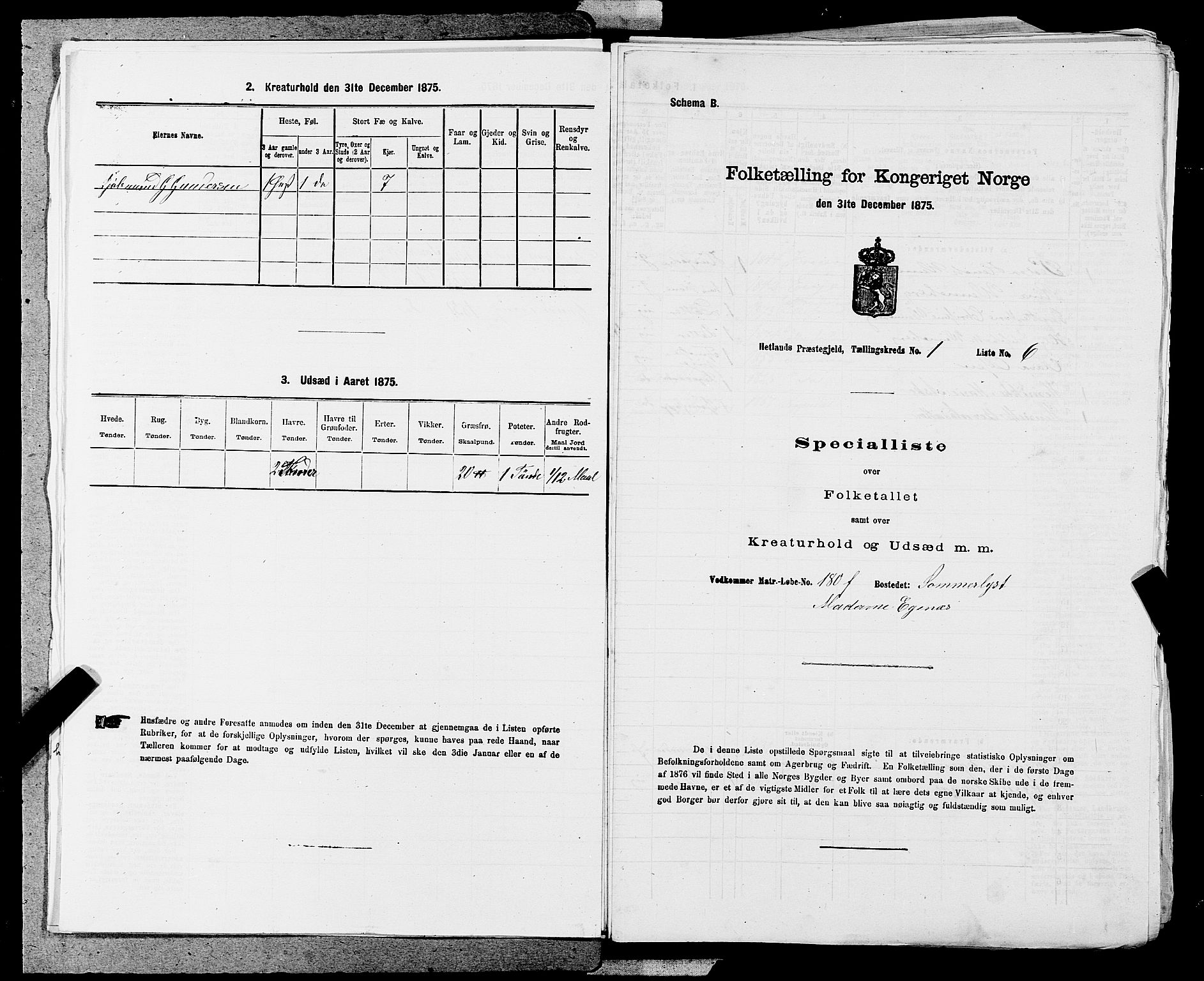 SAST, Folketelling 1875 for 1126P Hetland prestegjeld, 1875, s. 82