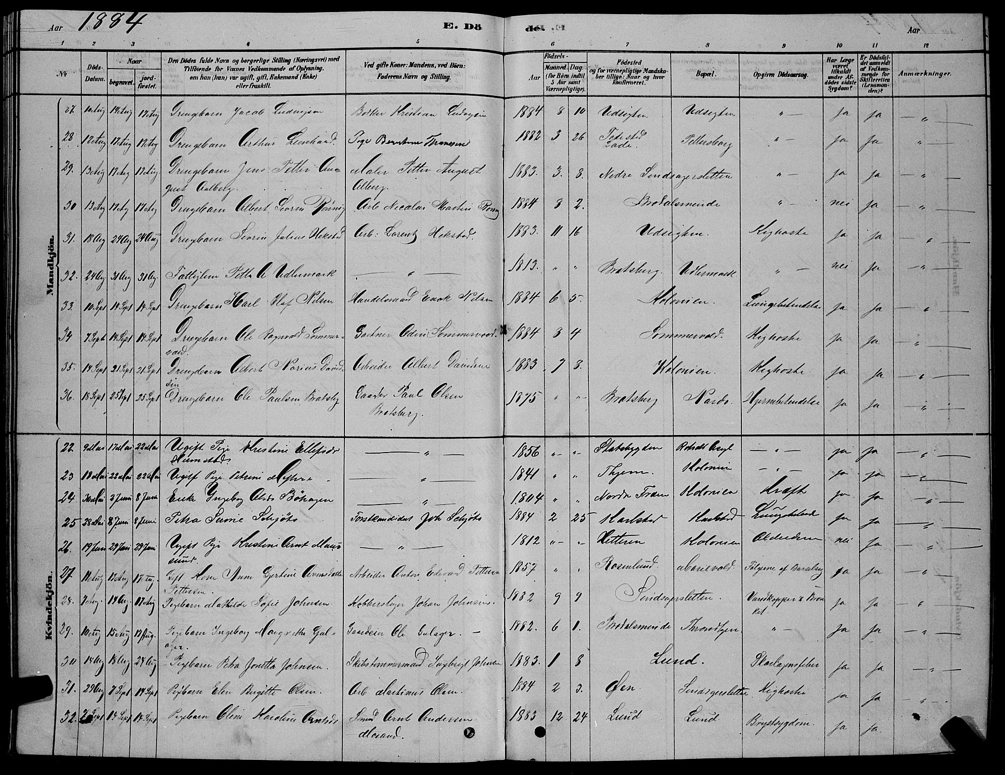 Ministerialprotokoller, klokkerbøker og fødselsregistre - Sør-Trøndelag, AV/SAT-A-1456/606/L0312: Klokkerbok nr. 606C08, 1878-1894