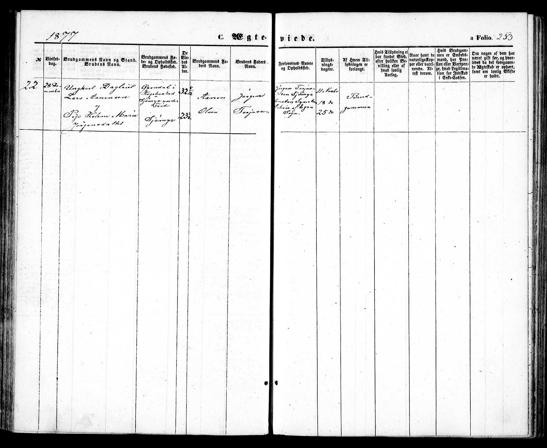 Høvåg sokneprestkontor, SAK/1111-0025/F/Fa/L0004: Ministerialbok nr. A 4, 1859-1877, s. 253