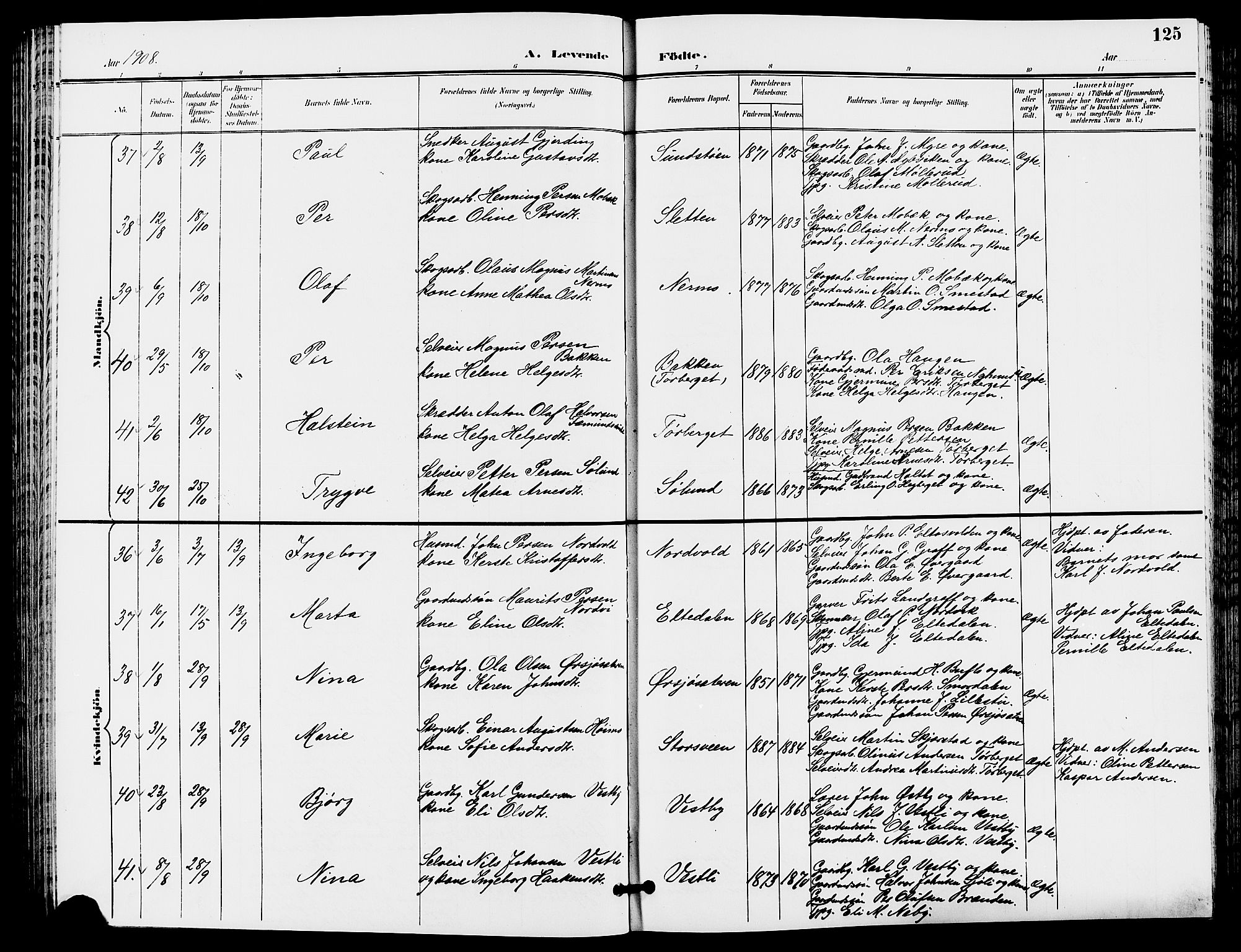 Trysil prestekontor, AV/SAH-PREST-046/H/Ha/Hab/L0006: Klokkerbok nr. 6, 1896-1912, s. 125