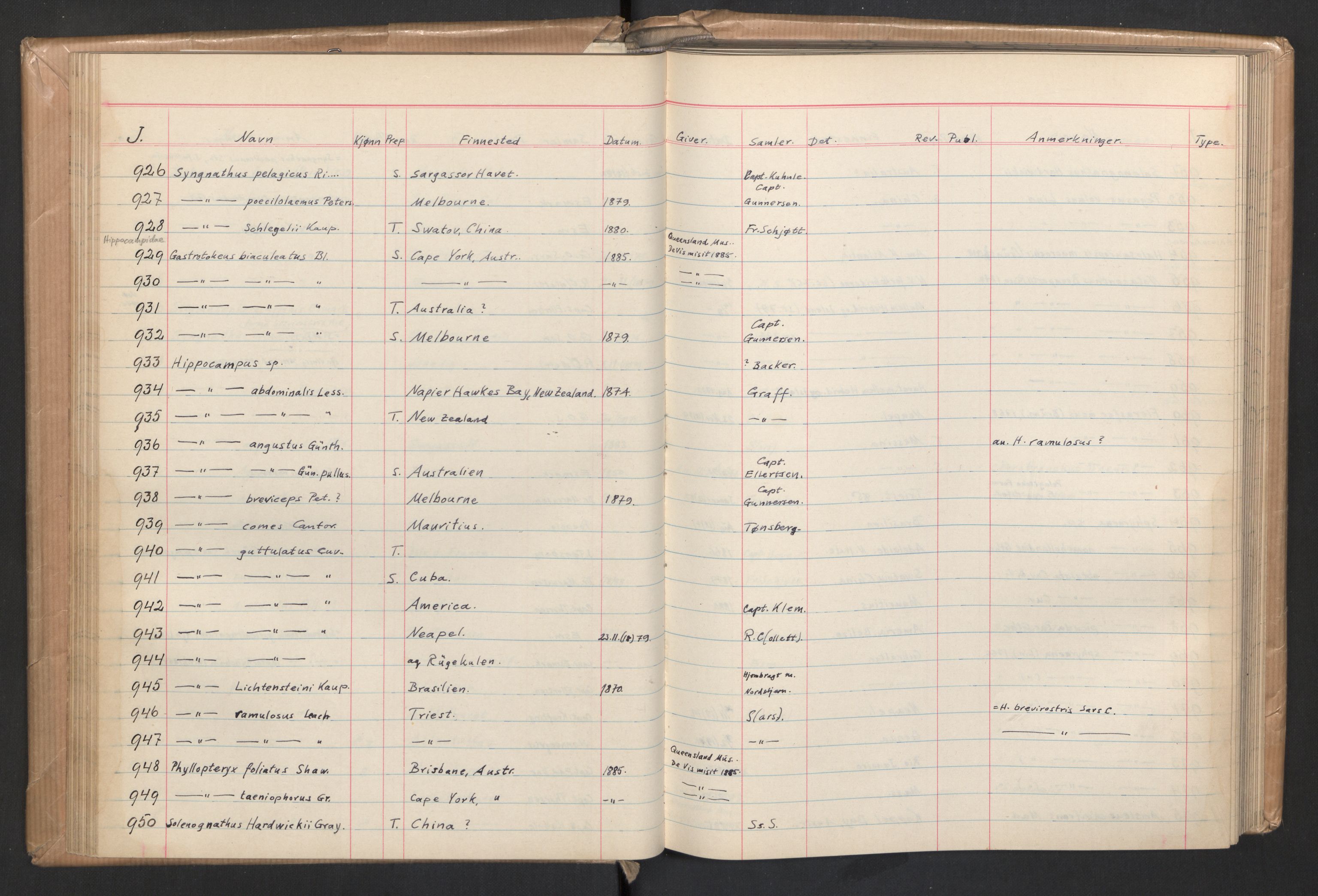 Naturhistorisk museum (Oslo), Zoologisk museum, NHMO/001/A/004: Lnr. 4 - Fisk. Samlingsjournal. Fiskesamlingen (J), nr. 1-5000