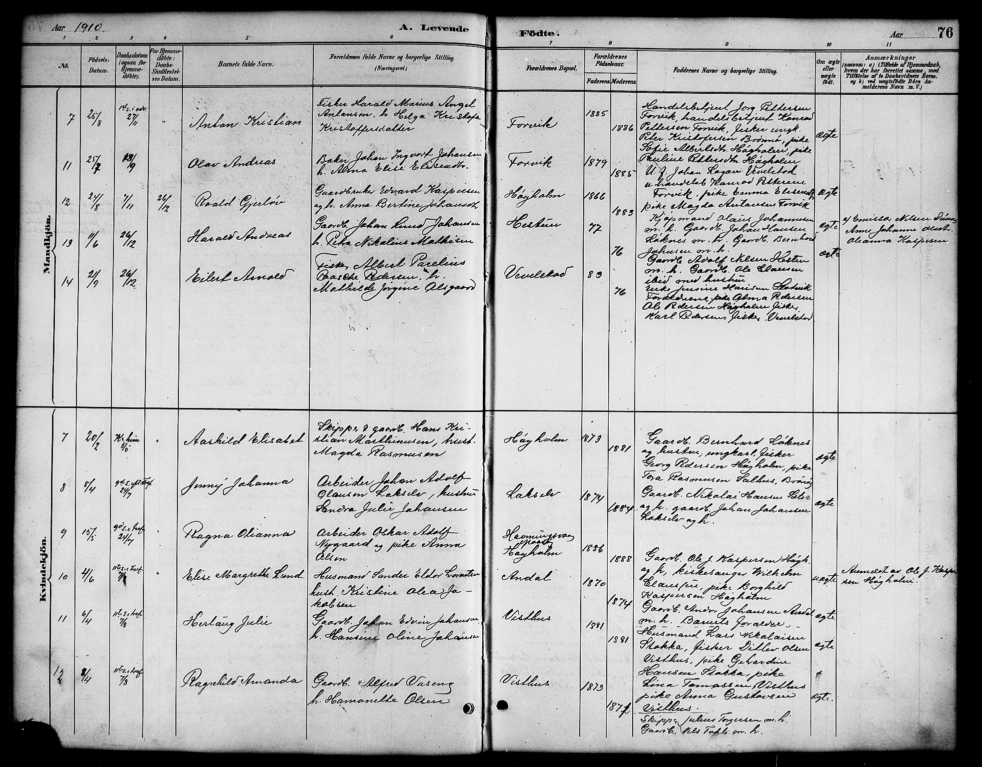 Ministerialprotokoller, klokkerbøker og fødselsregistre - Nordland, SAT/A-1459/819/L0277: Klokkerbok nr. 819C03, 1888-1917, s. 76