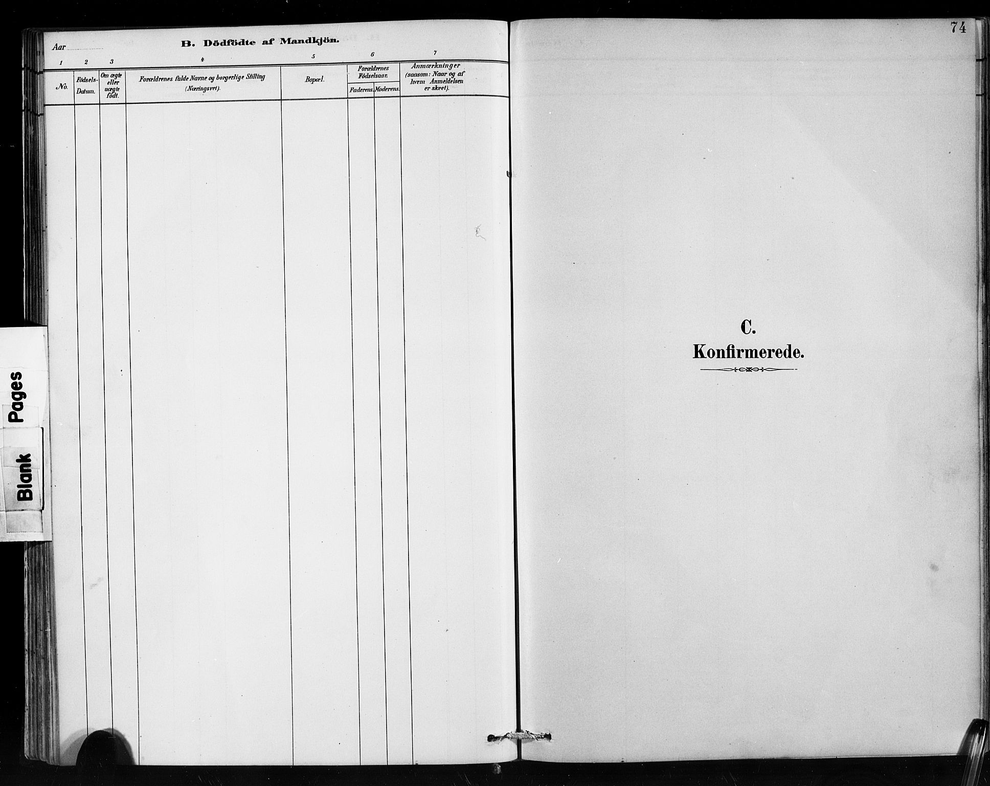 Hafslo sokneprestembete, SAB/A-80301/H/Hab/Habc/L0001: Klokkerbok nr. C 1, 1882-1908, s. 74
