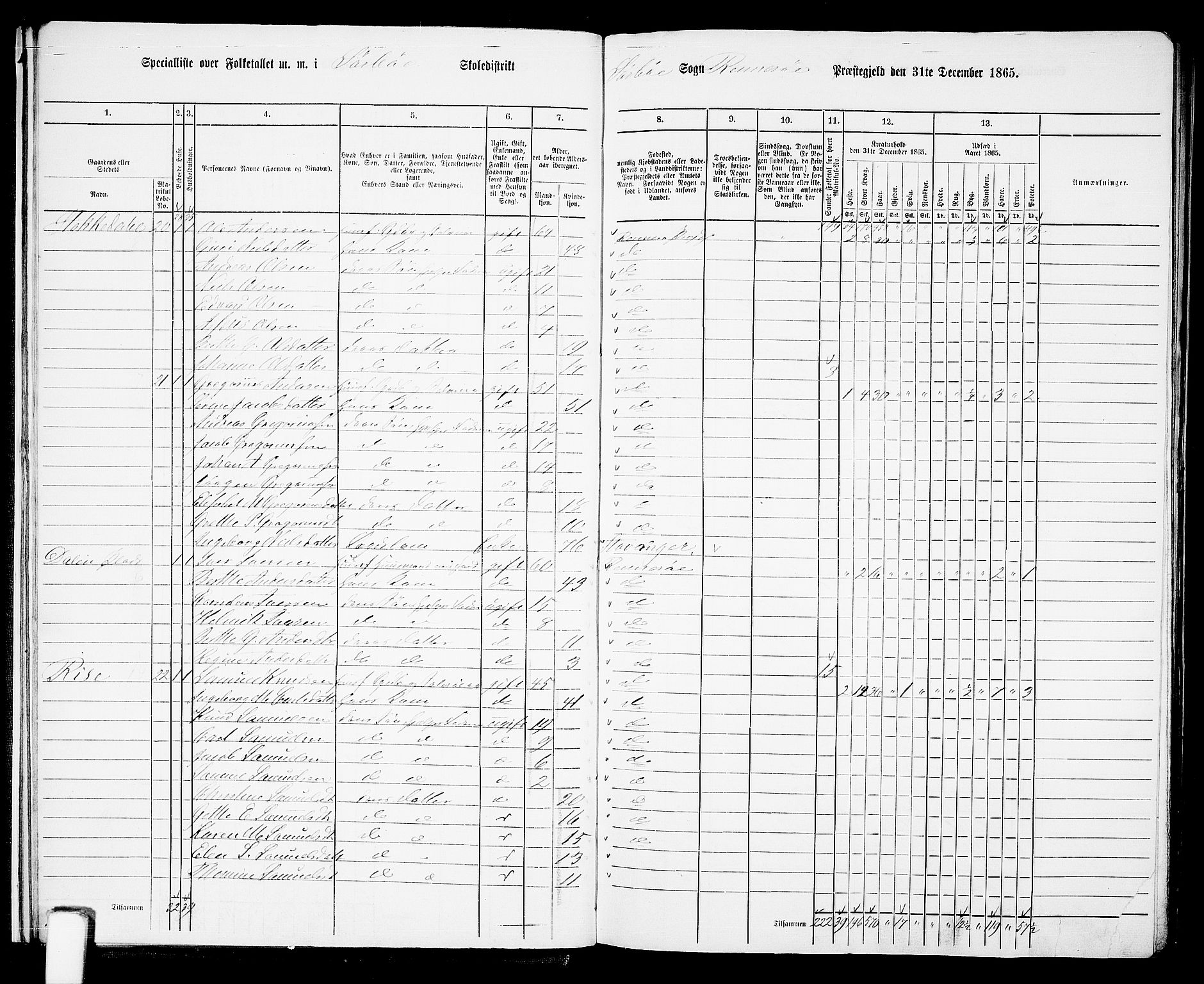 RA, Folketelling 1865 for 1142P Rennesøy prestegjeld, 1865, s. 17