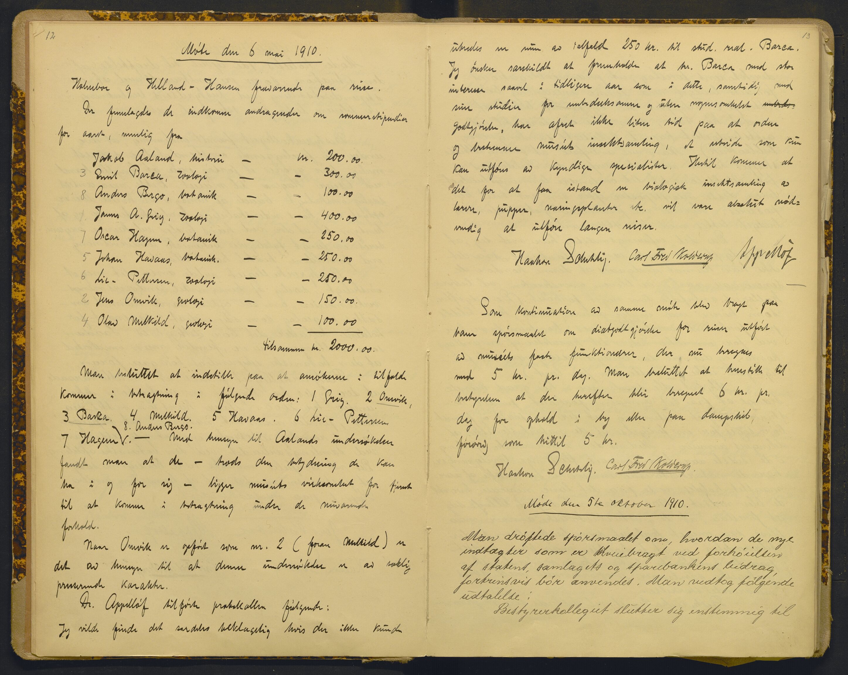 Bergens Museum, AV/SAB-A-17301/18/A/L0001: Bestyrerkollegiets forhandlingsprotokoll med register , 1907-1927, s. 12-13