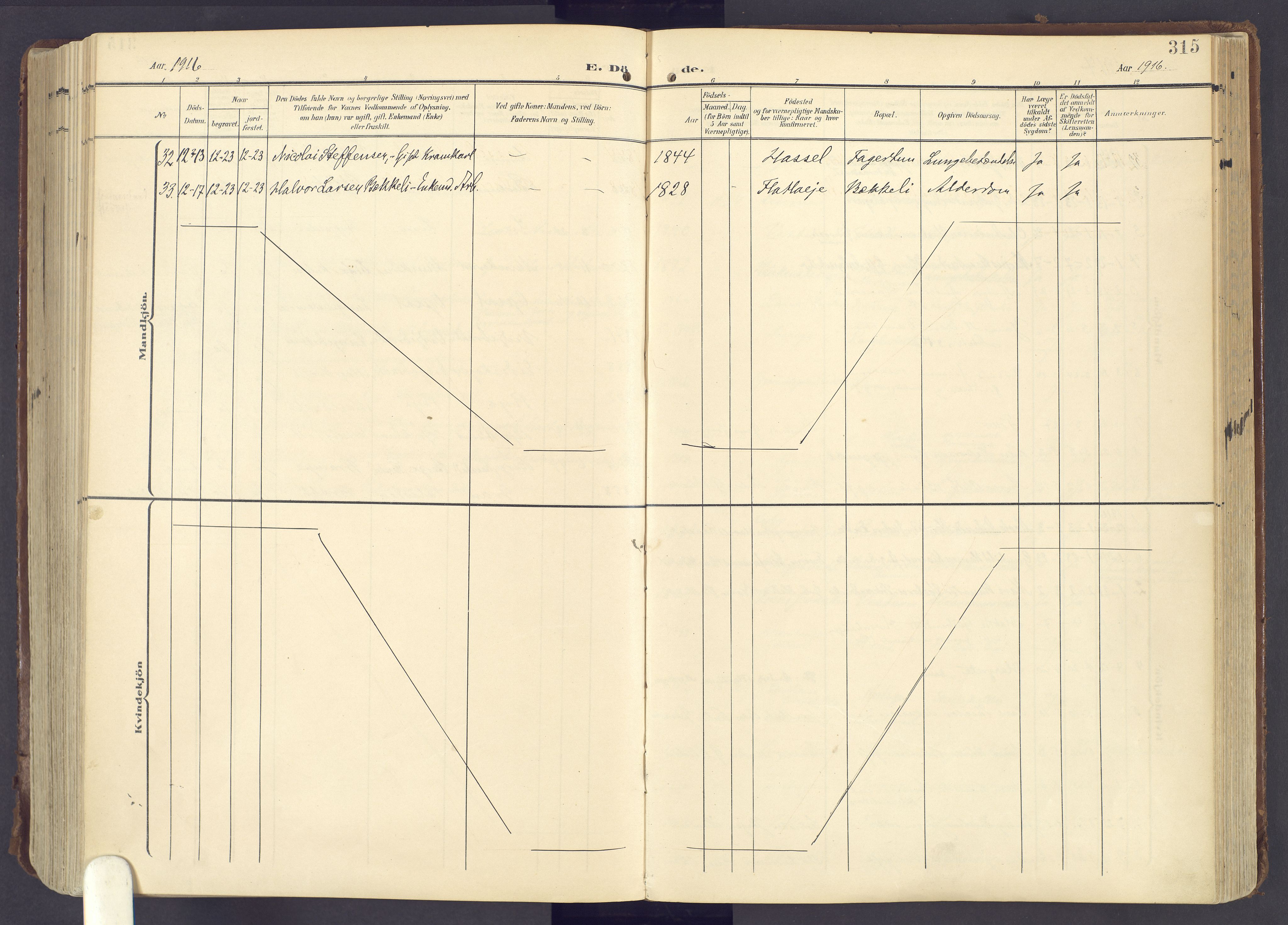 Lunner prestekontor, AV/SAH-PREST-118/H/Ha/Haa/L0001: Ministerialbok nr. 1, 1907-1922, s. 315