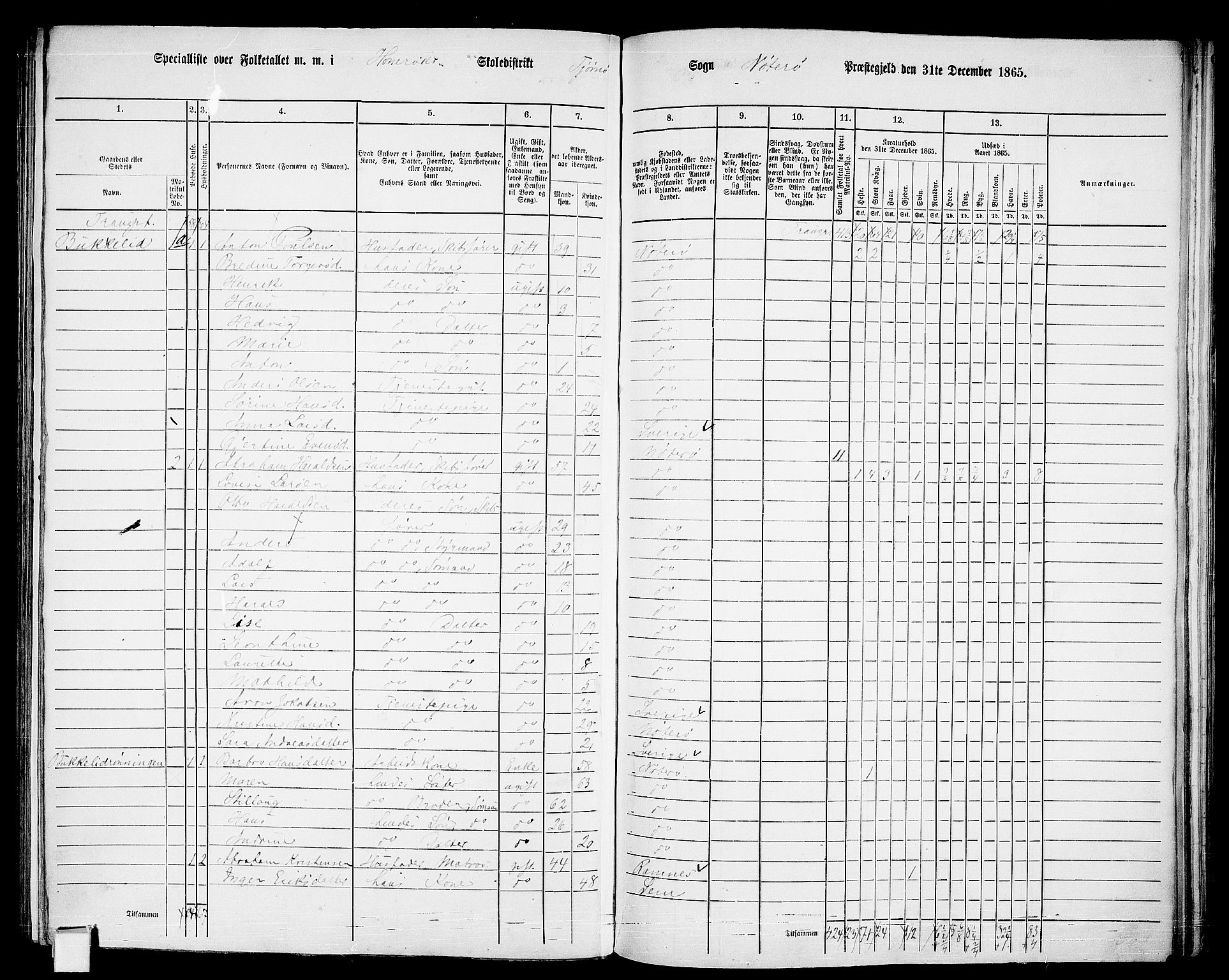 RA, Folketelling 1865 for 0722P Nøtterøy prestegjeld, 1865, s. 219