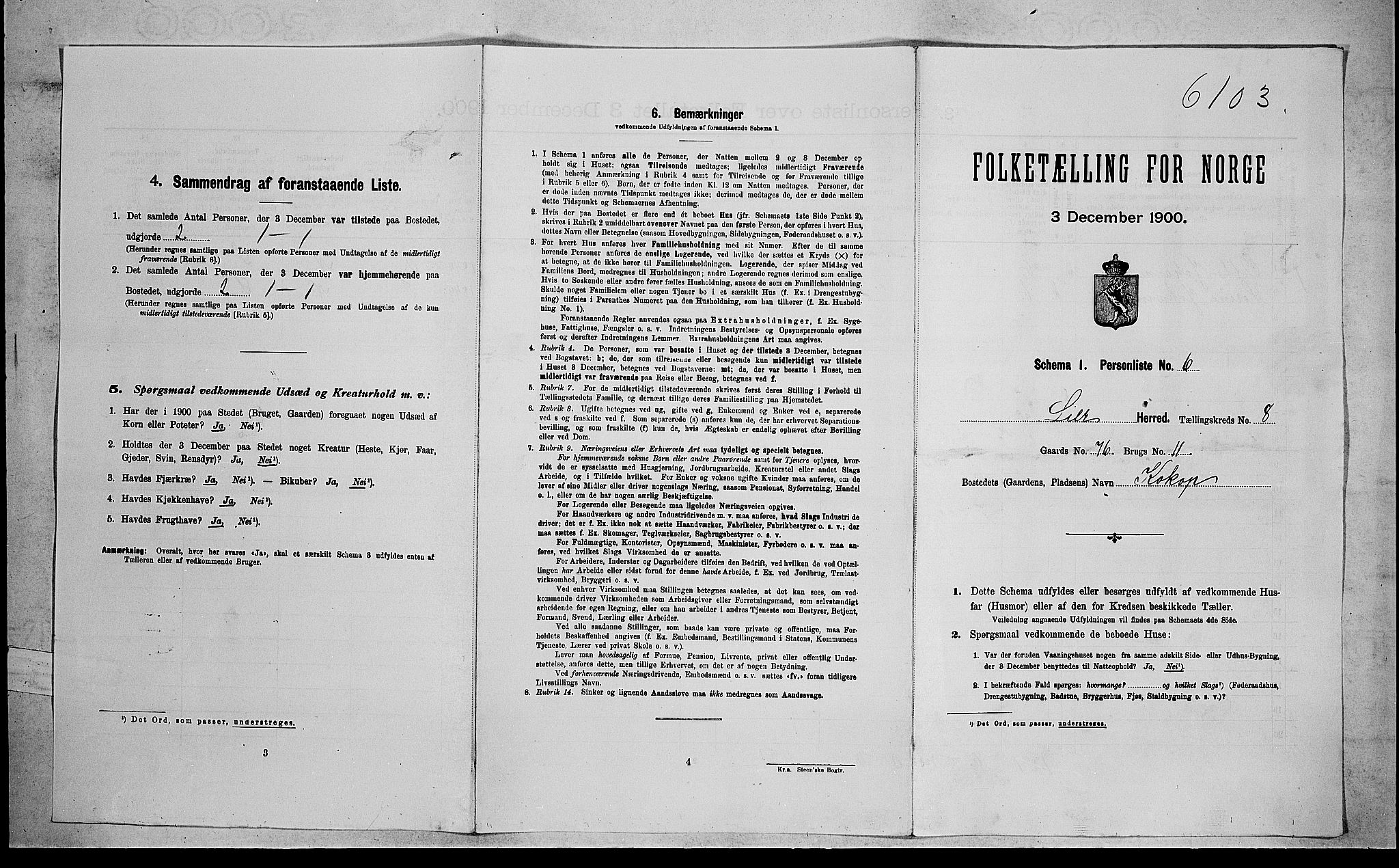 RA, Folketelling 1900 for 0626 Lier herred, 1900, s. 1300