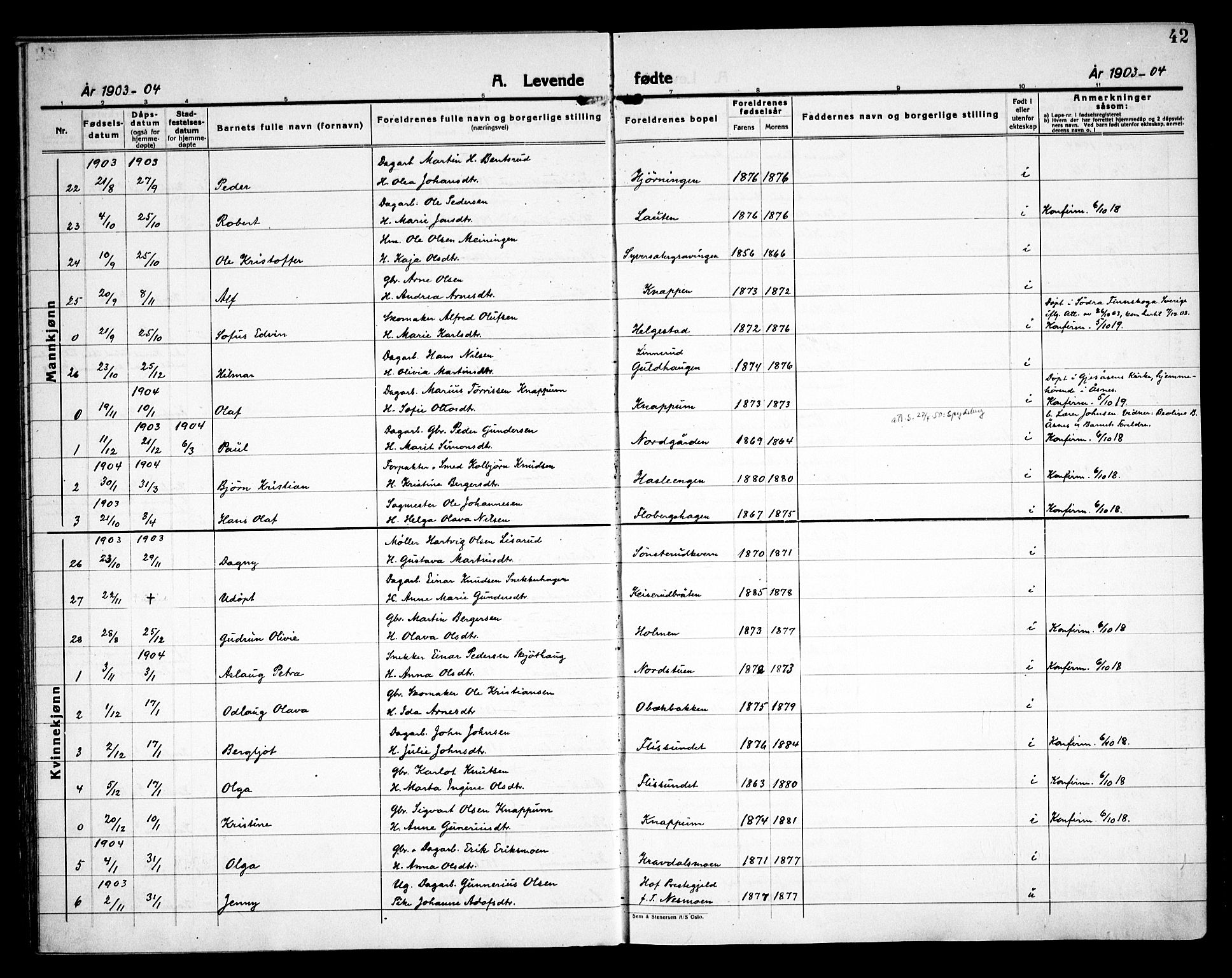 Åsnes prestekontor, SAH/PREST-042/H/Ha/Haa/L0000C: Ministerialbok nr. 0A, 1890-1929, s. 42