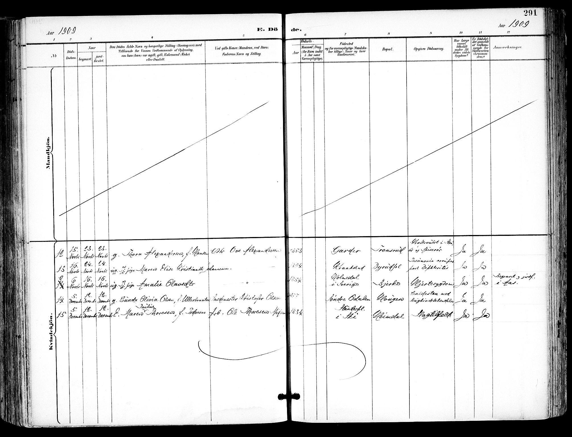 Kråkstad prestekontor Kirkebøker, SAO/A-10125a/F/Fa/L0010: Ministerialbok nr. I 10, 1893-1931, s. 291
