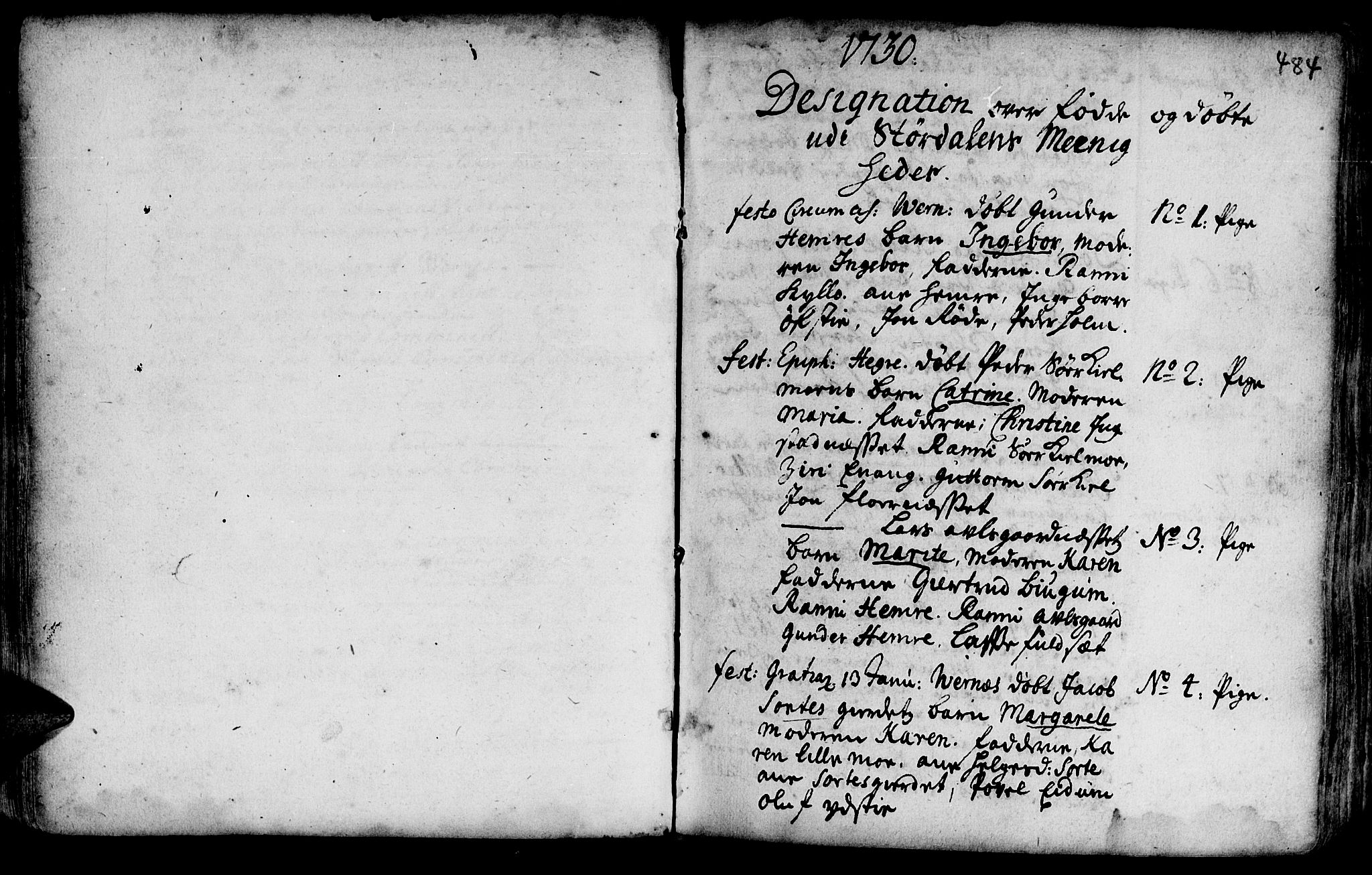 Ministerialprotokoller, klokkerbøker og fødselsregistre - Nord-Trøndelag, AV/SAT-A-1458/709/L0055: Ministerialbok nr. 709A03, 1730-1739, s. 483-484