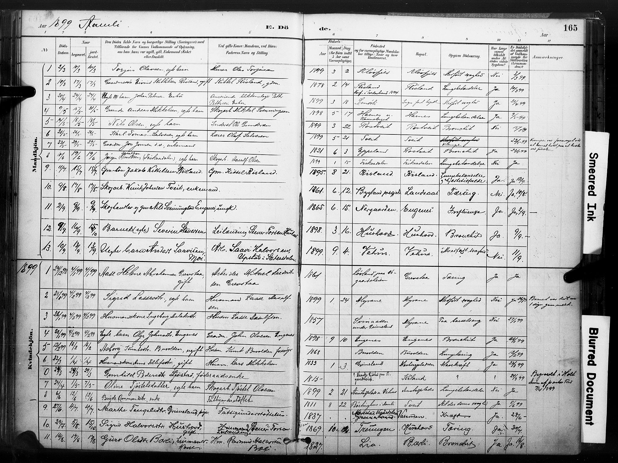 Åmli sokneprestkontor, AV/SAK-1111-0050/F/Fa/Fac/L0010: Ministerialbok nr. A 10 /1, 1885-1899, s. 165