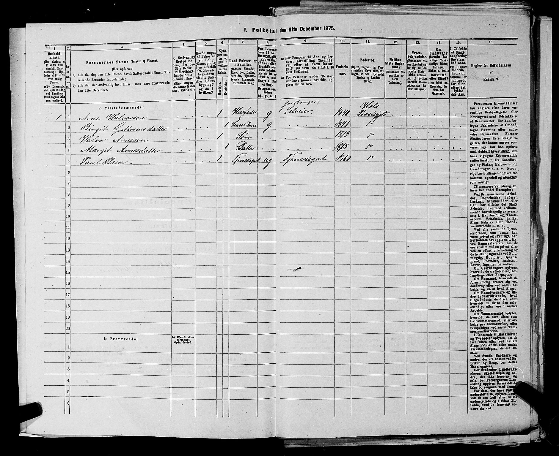 SAKO, Folketelling 1875 for 0620P Hol prestegjeld, 1875, s. 34