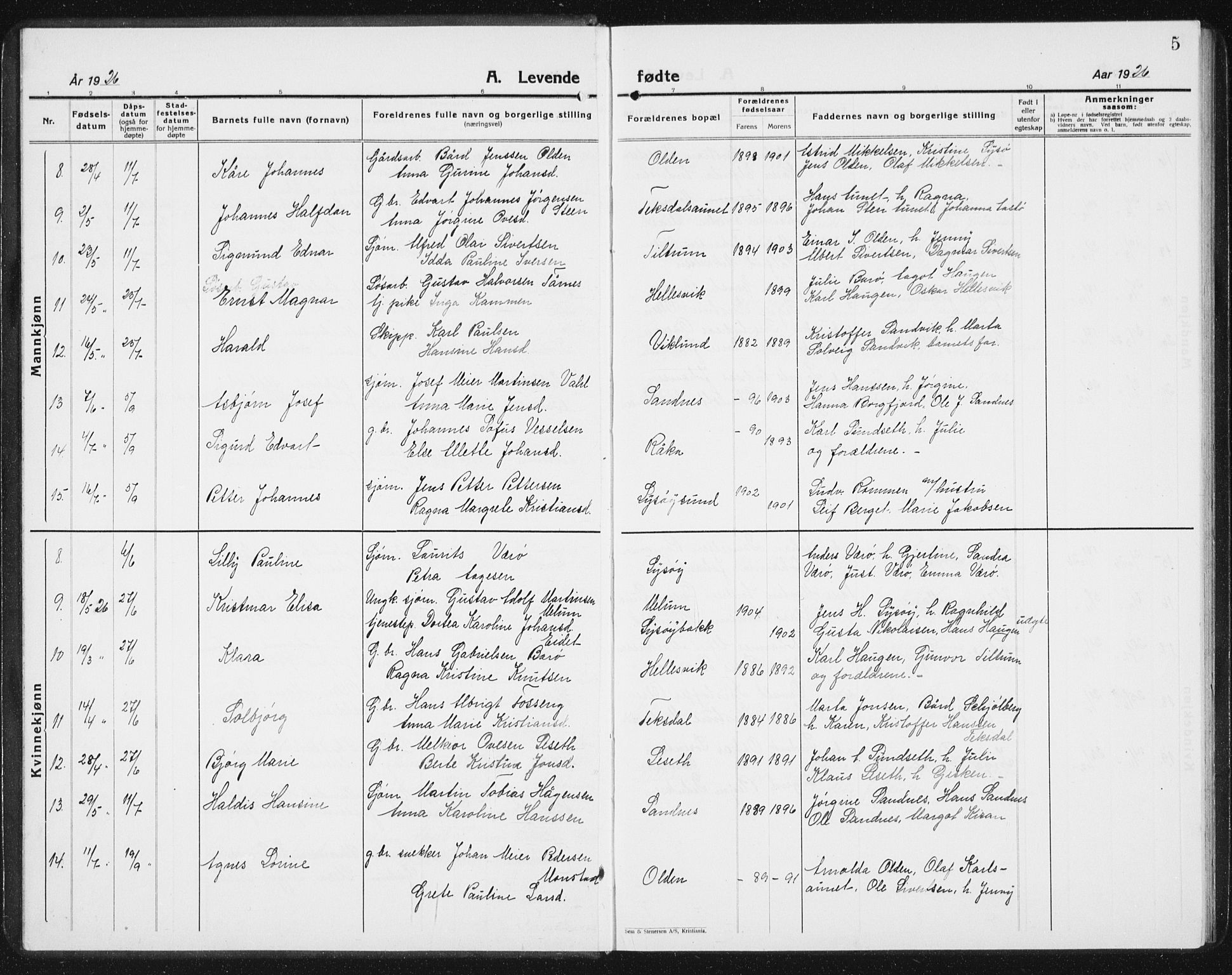 Ministerialprotokoller, klokkerbøker og fødselsregistre - Sør-Trøndelag, AV/SAT-A-1456/654/L0667: Klokkerbok nr. 654C03, 1924-1939, s. 5