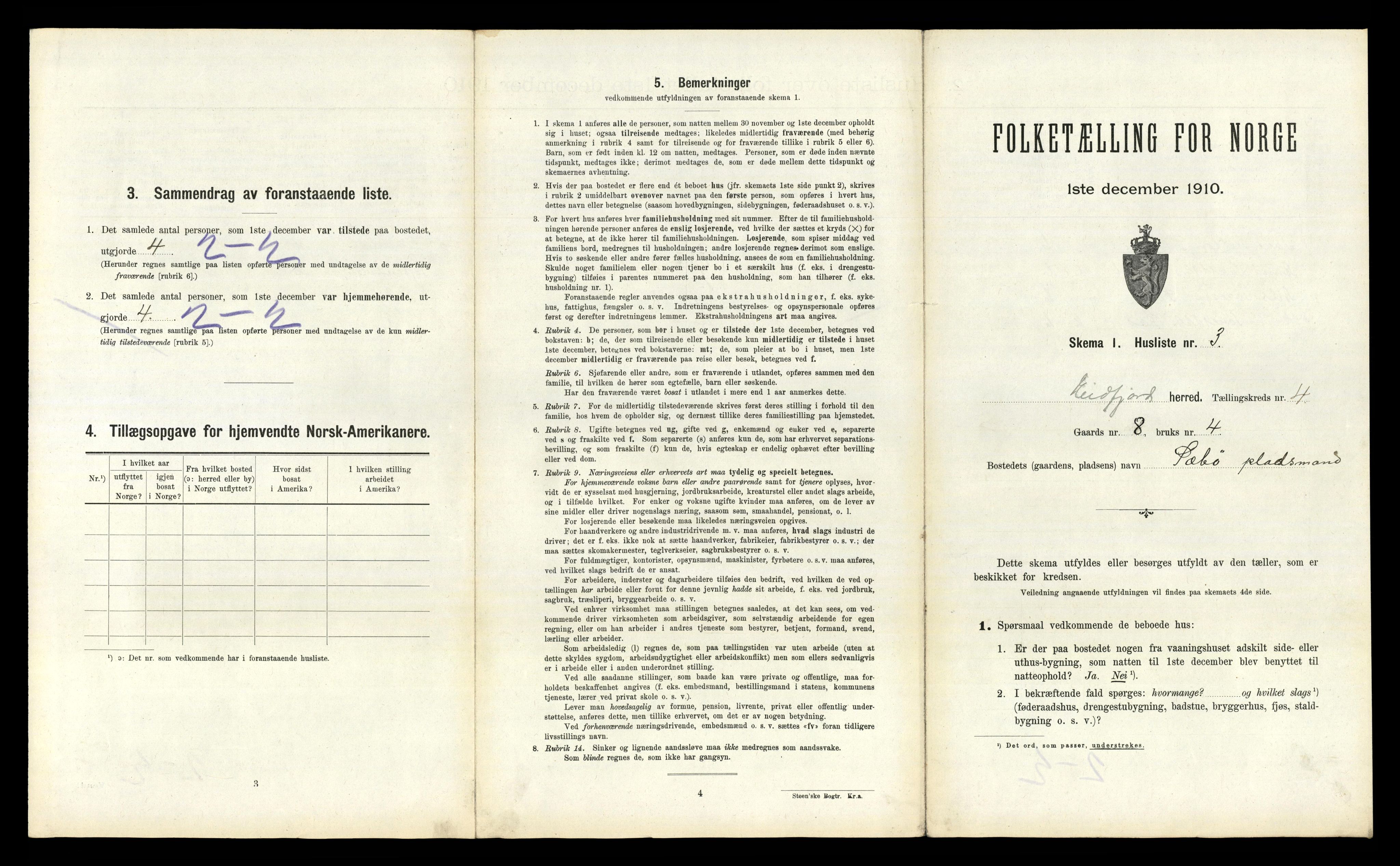 RA, Folketelling 1910 for 1232 Eidfjord herred, 1910, s. 293