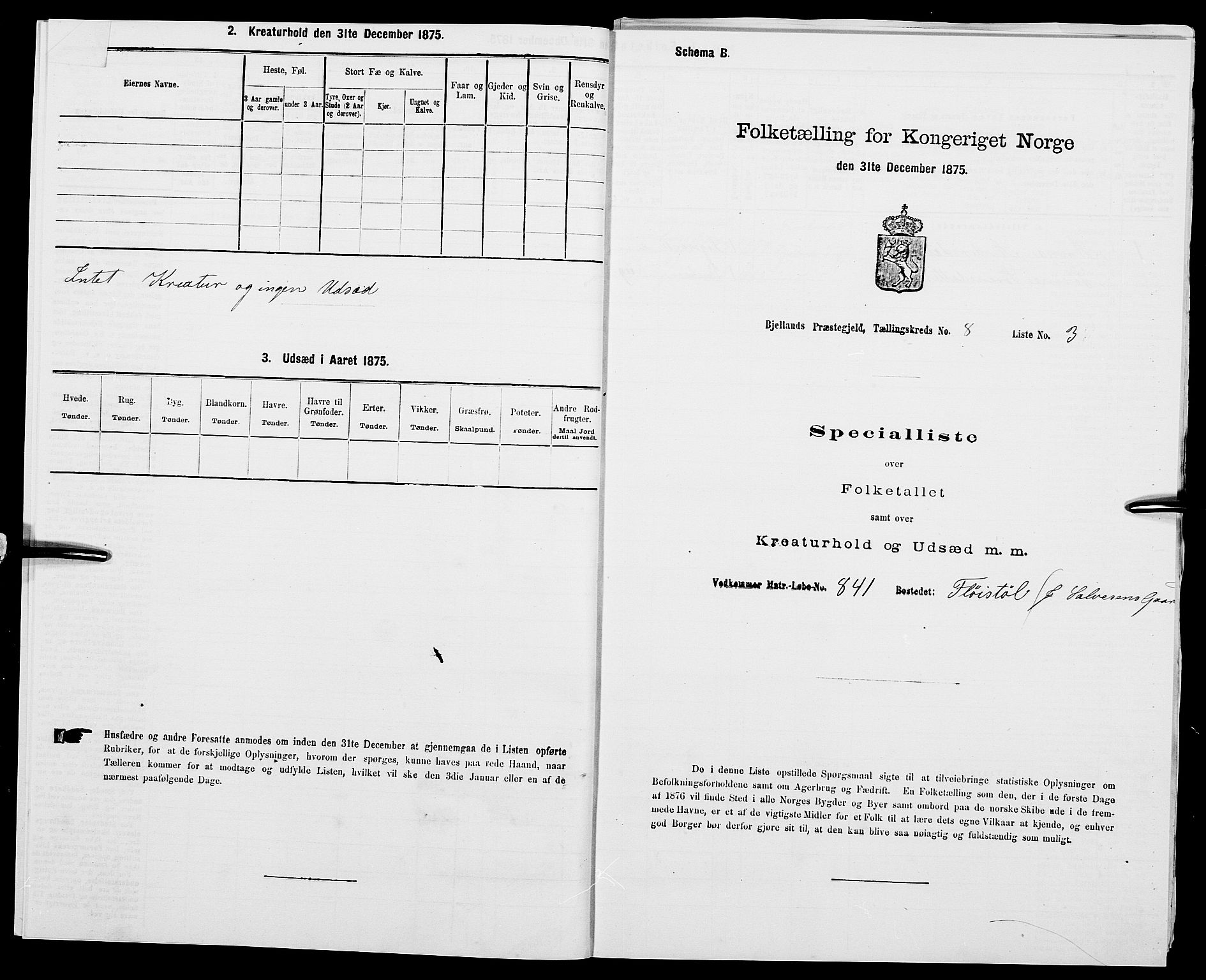 SAK, Folketelling 1875 for 1024P Bjelland prestegjeld, 1875, s. 896