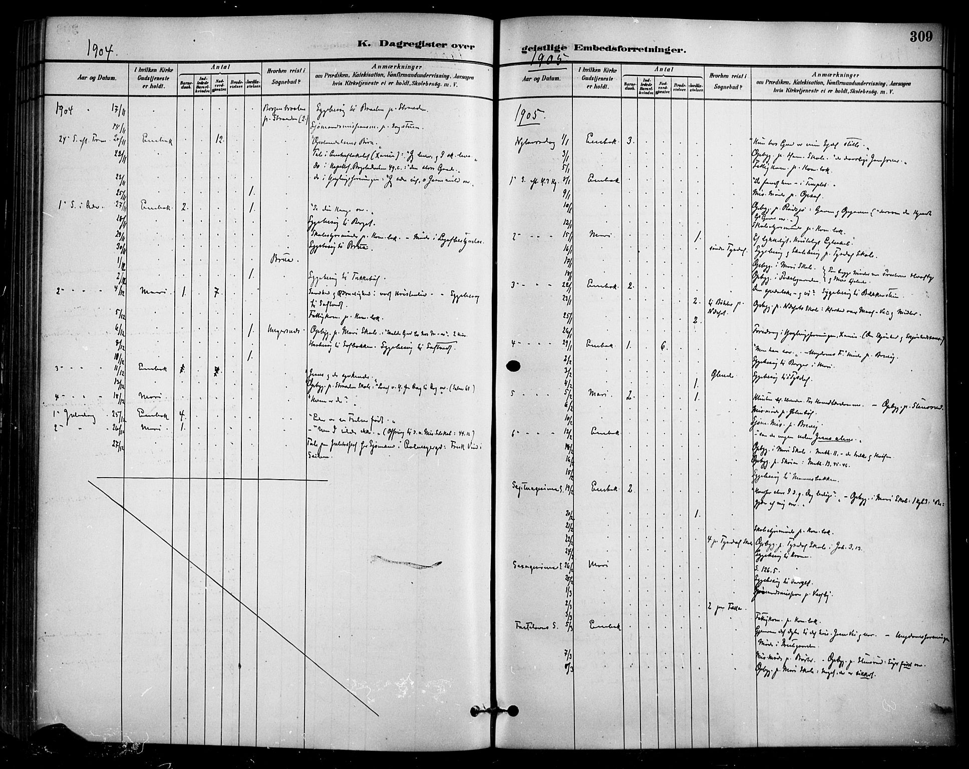 Enebakk prestekontor Kirkebøker, AV/SAO-A-10171c/F/Fa/L0016: Ministerialbok nr. I 16, 1883-1898, s. 309