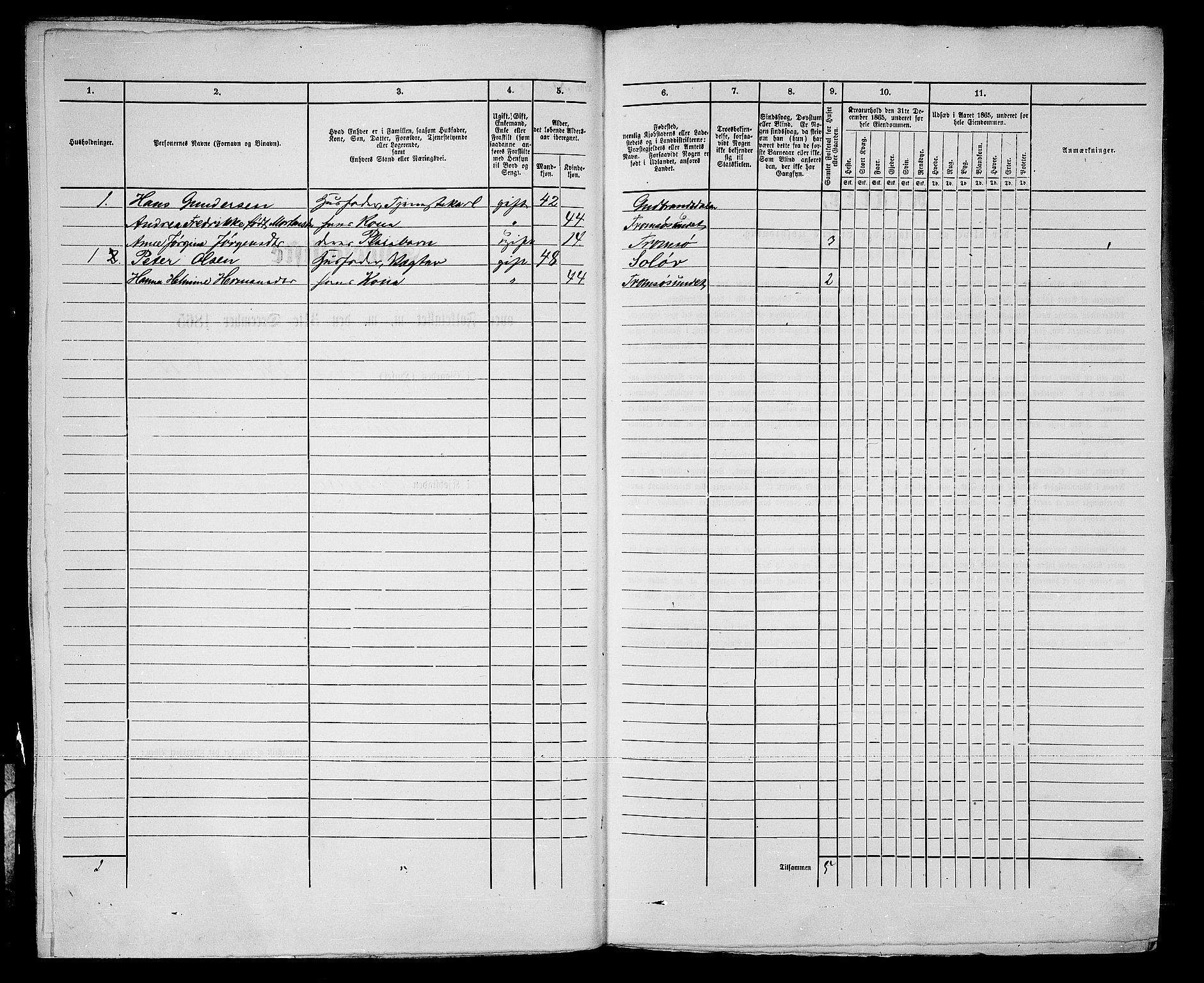 RA, Folketelling 1865 for 1902P Tromsø prestegjeld, 1865, s. 407