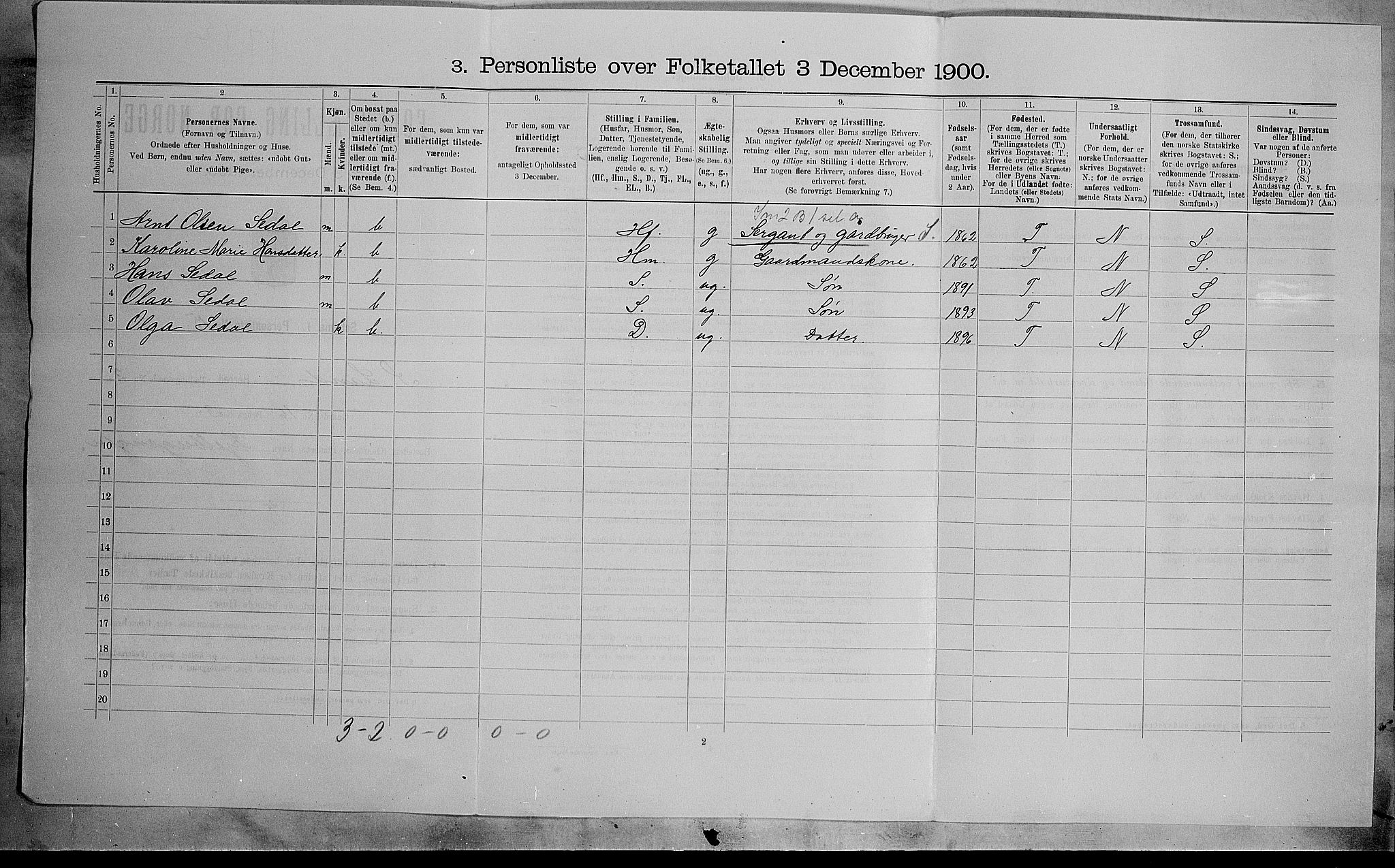 SAH, Folketelling 1900 for 0536 Søndre Land herred, 1900, s. 324