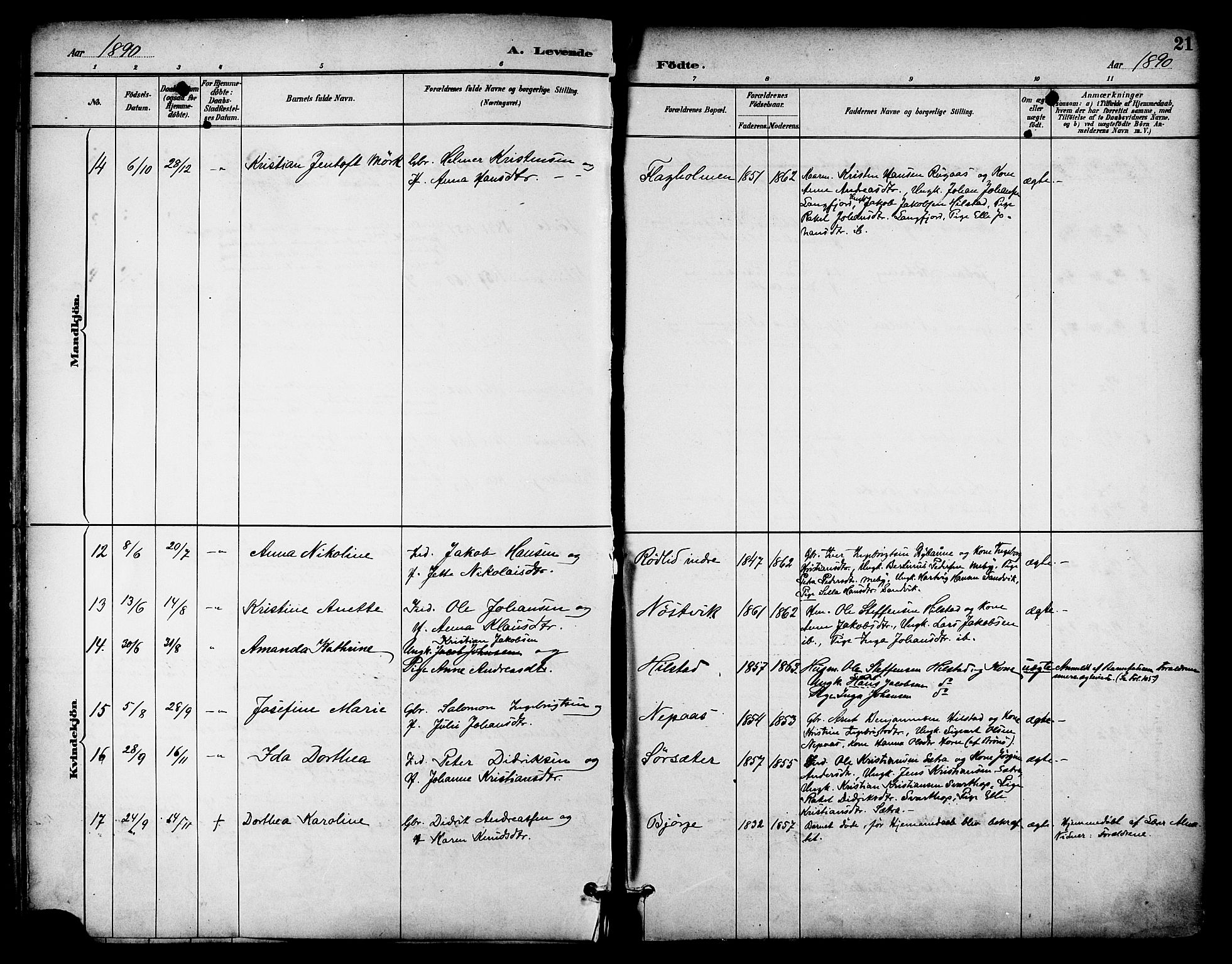 Ministerialprotokoller, klokkerbøker og fødselsregistre - Nordland, AV/SAT-A-1459/814/L0226: Ministerialbok nr. 814A07, 1886-1898, s. 21