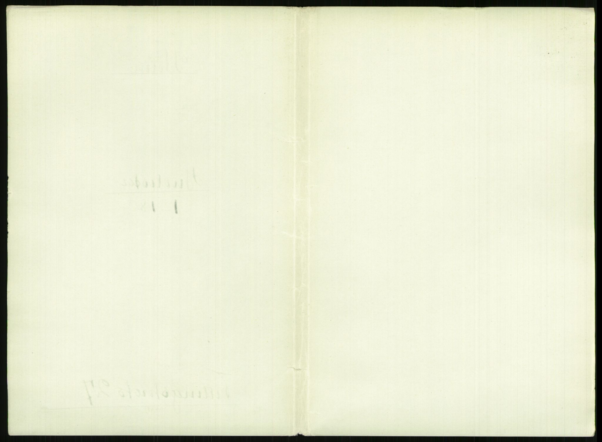 RA, Folketelling 1891 for 0806 Skien kjøpstad, 1891, s. 999