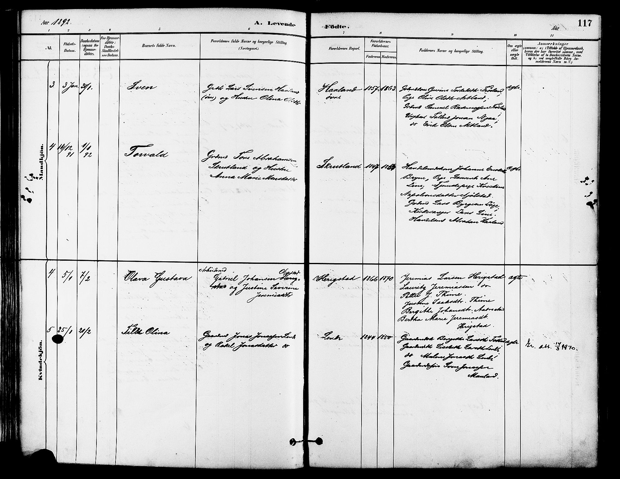 Lye sokneprestkontor, AV/SAST-A-101794/001/30BA/L0009: Ministerialbok nr. A 8, 1881-1892, s. 117