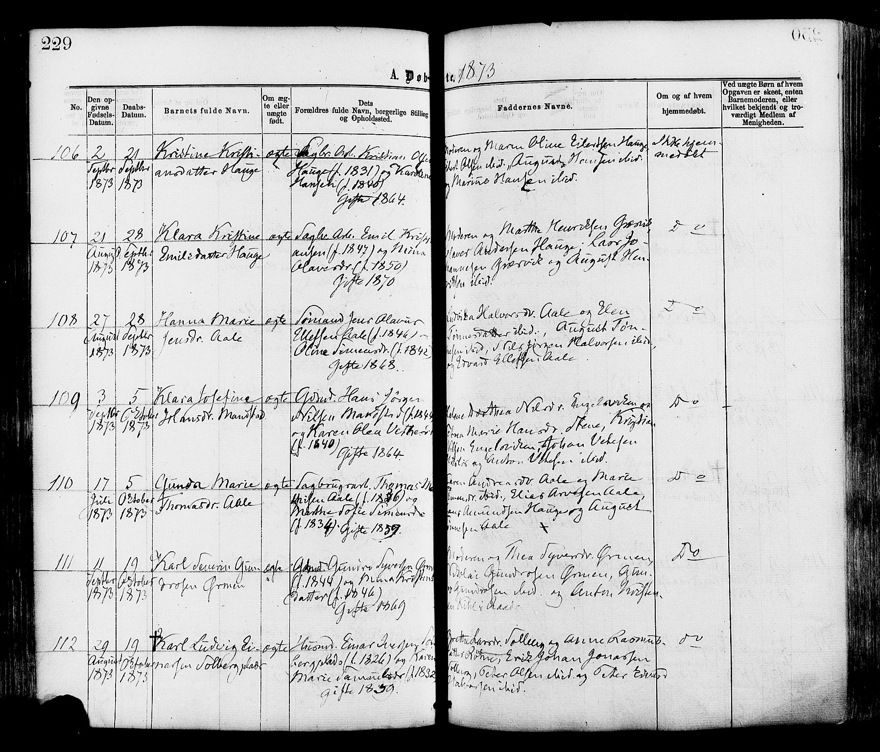 Onsøy prestekontor Kirkebøker, AV/SAO-A-10914/F/Fa/L0004: Ministerialbok nr. I 4, 1861-1877, s. 229
