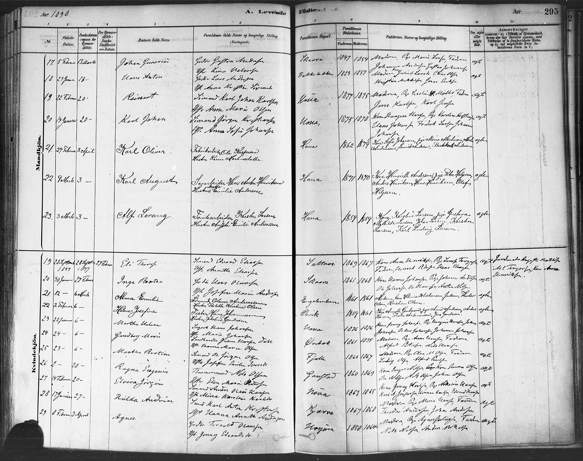 Onsøy prestekontor Kirkebøker, AV/SAO-A-10914/F/Fa/L0005: Ministerialbok nr. I 5, 1878-1898, s. 295