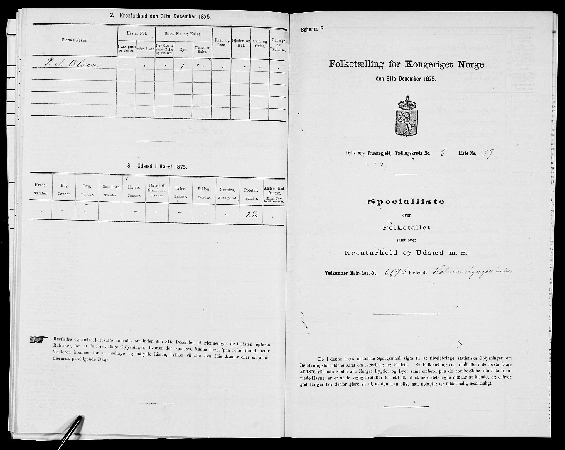 SAK, Folketelling 1875 for 0915P Dypvåg prestegjeld, 1875, s. 613