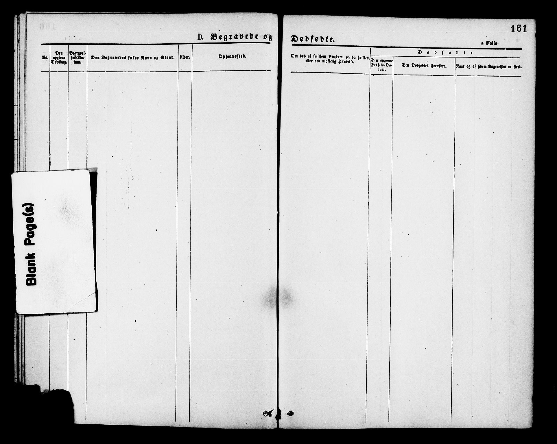 Hjelmeland sokneprestkontor, AV/SAST-A-101843/01/IV/L0013: Ministerialbok nr. A 13, 1872-1886, s. 161