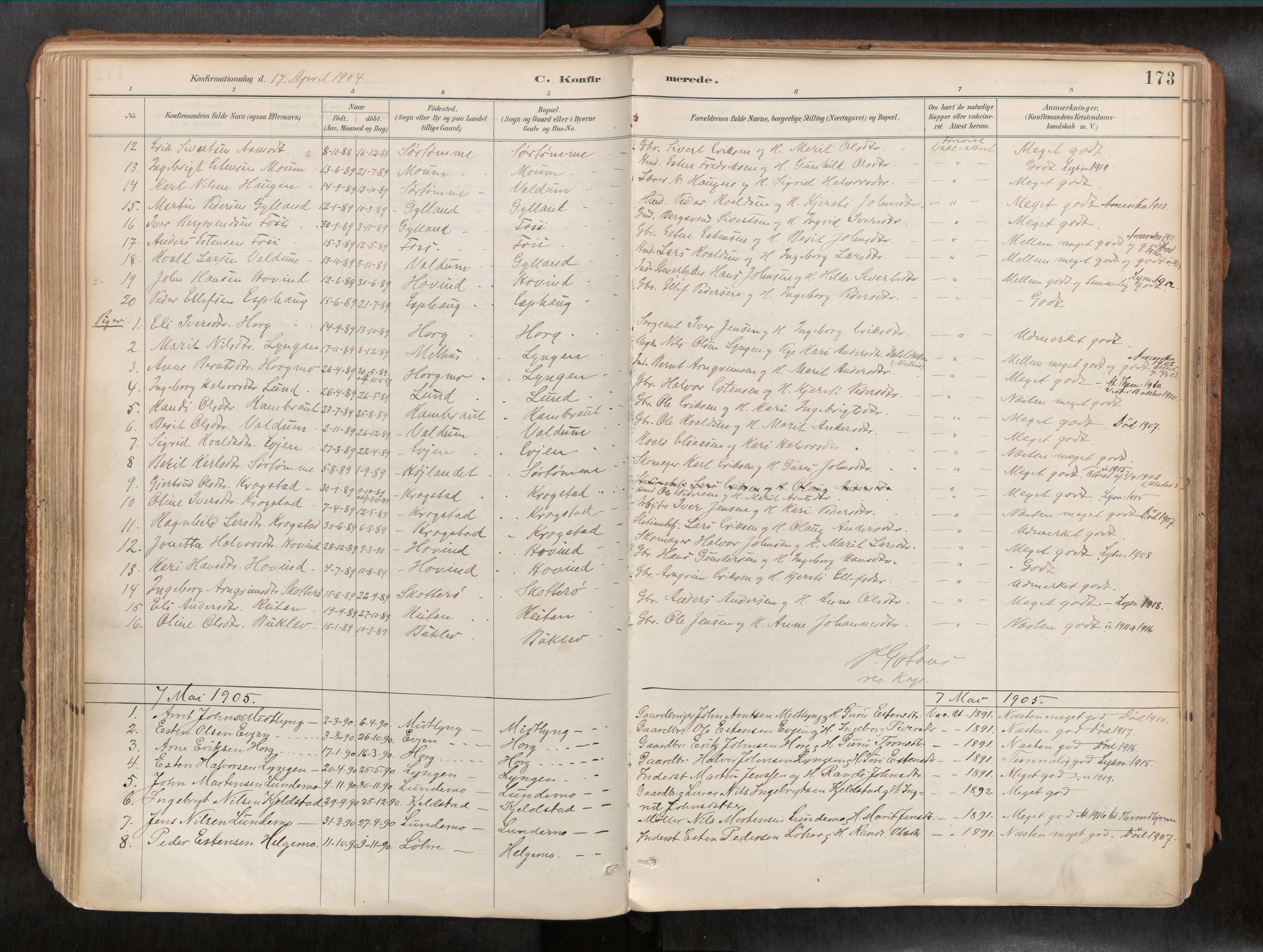 Ministerialprotokoller, klokkerbøker og fødselsregistre - Sør-Trøndelag, AV/SAT-A-1456/692/L1105b: Ministerialbok nr. 692A06, 1891-1934, s. 173