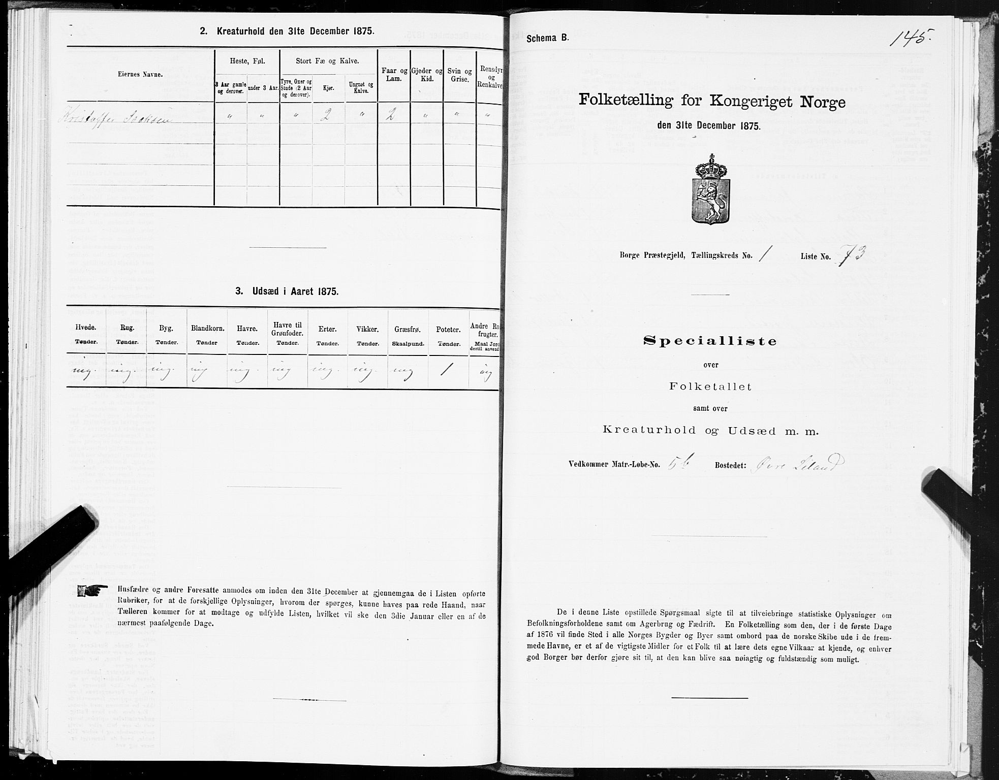 SAT, Folketelling 1875 for 1862P Borge prestegjeld, 1875, s. 1145