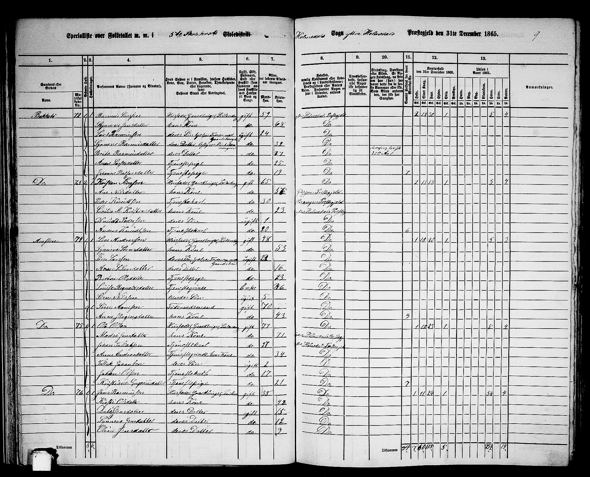 RA, Folketelling 1865 for 1429P Ytre Holmedal prestegjeld, 1865, s. 39