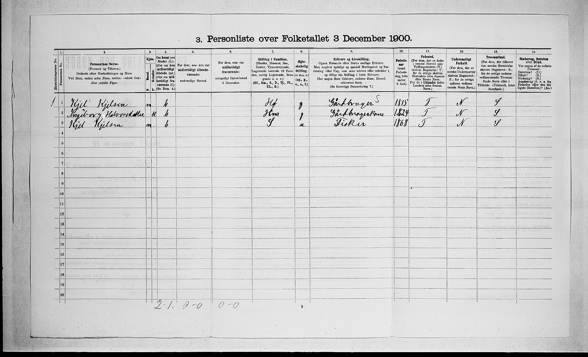 SAKO, Folketelling 1900 for 0815 Skåtøy herred, 1900, s. 197