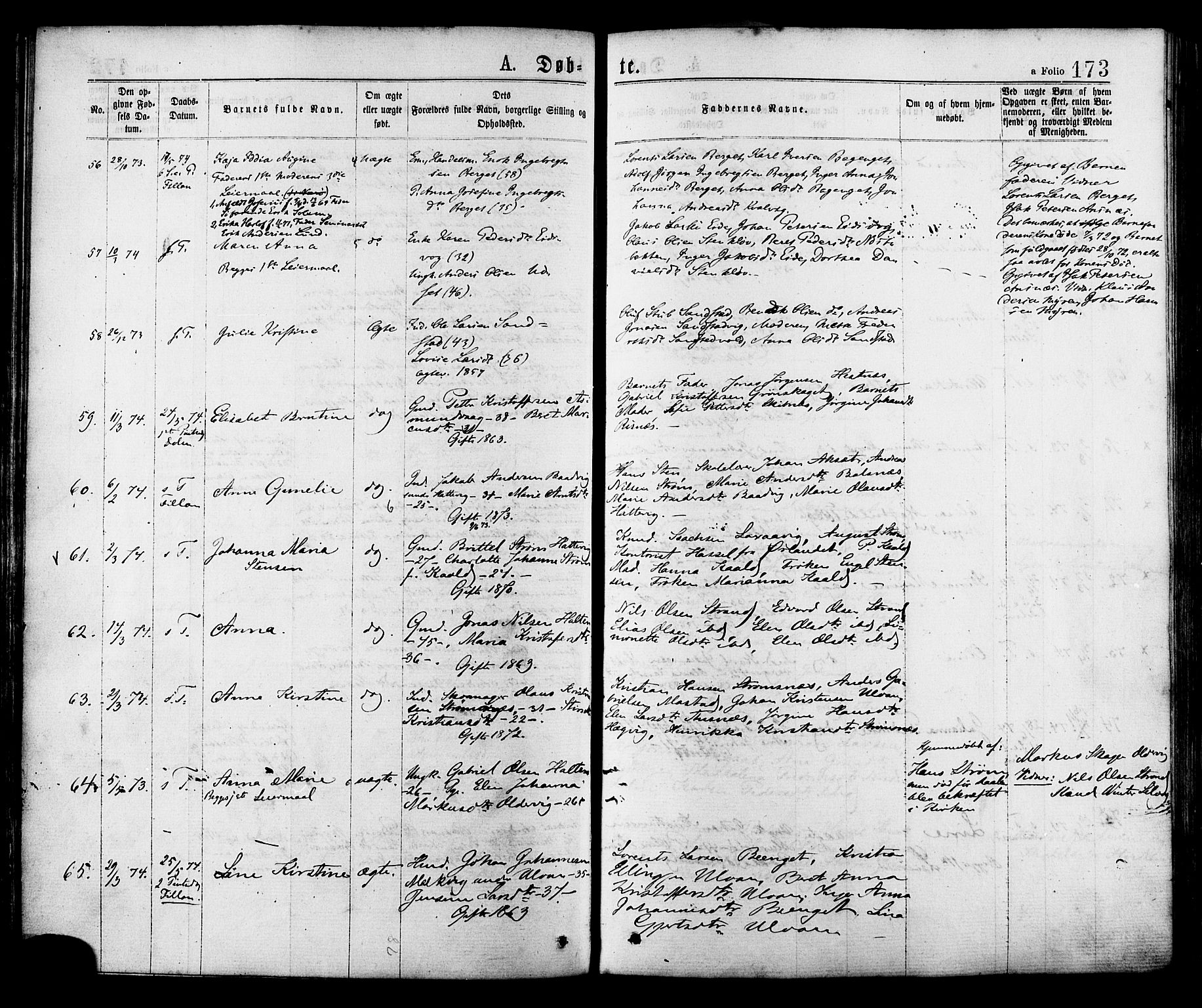 Ministerialprotokoller, klokkerbøker og fødselsregistre - Sør-Trøndelag, SAT/A-1456/634/L0532: Ministerialbok nr. 634A08, 1871-1881, s. 173