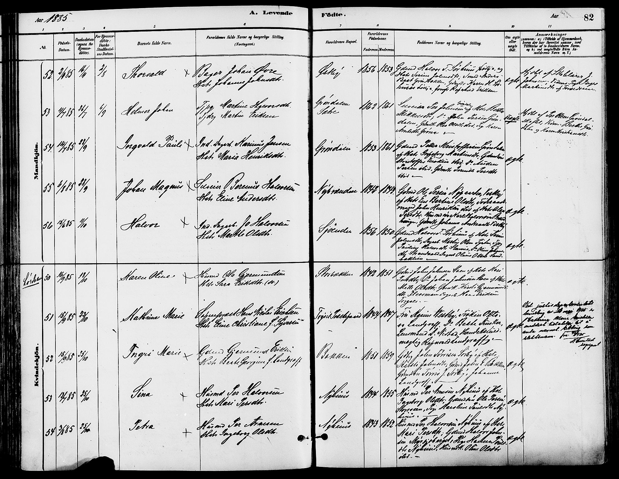 Trysil prestekontor, AV/SAH-PREST-046/H/Ha/Haa/L0008: Ministerialbok nr. 8, 1881-1897, s. 82