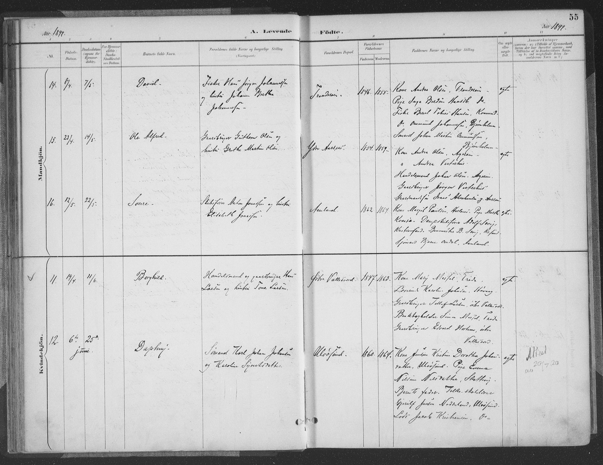 Høvåg sokneprestkontor, AV/SAK-1111-0025/F/Fa/L0006: Ministerialbok nr. A 6, 1894-1923, s. 55