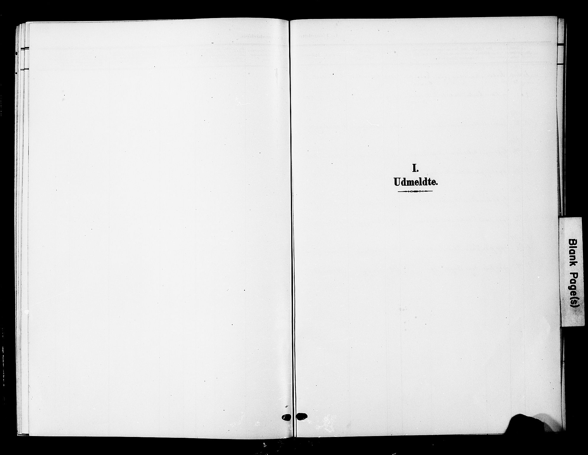 Ministerialprotokoller, klokkerbøker og fødselsregistre - Nordland, AV/SAT-A-1459/893/L1350: Klokkerbok nr. 893C05, 1906-1927