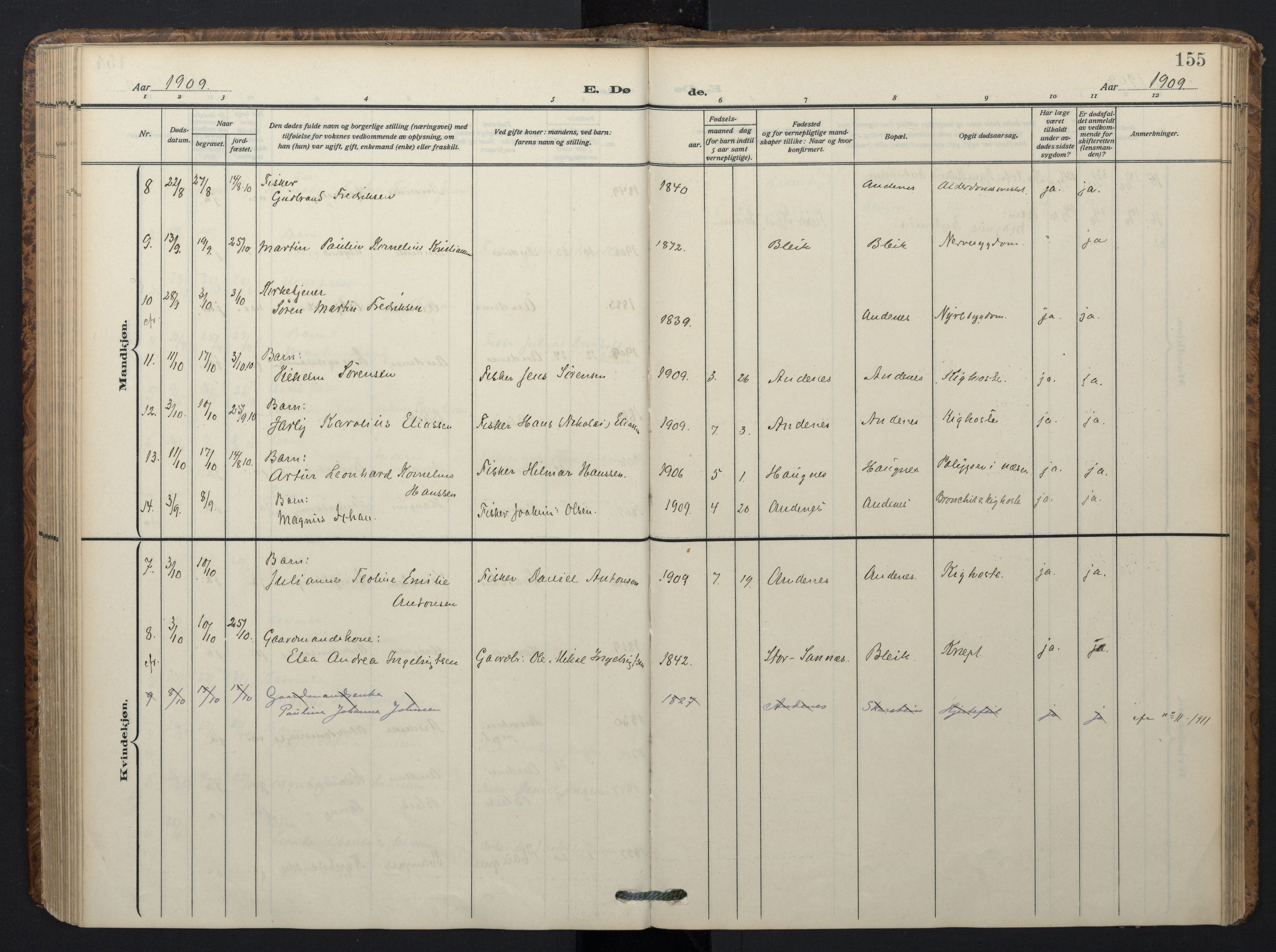Ministerialprotokoller, klokkerbøker og fødselsregistre - Nordland, AV/SAT-A-1459/899/L1438: Ministerialbok nr. 899A06, 1909-1922, s. 155