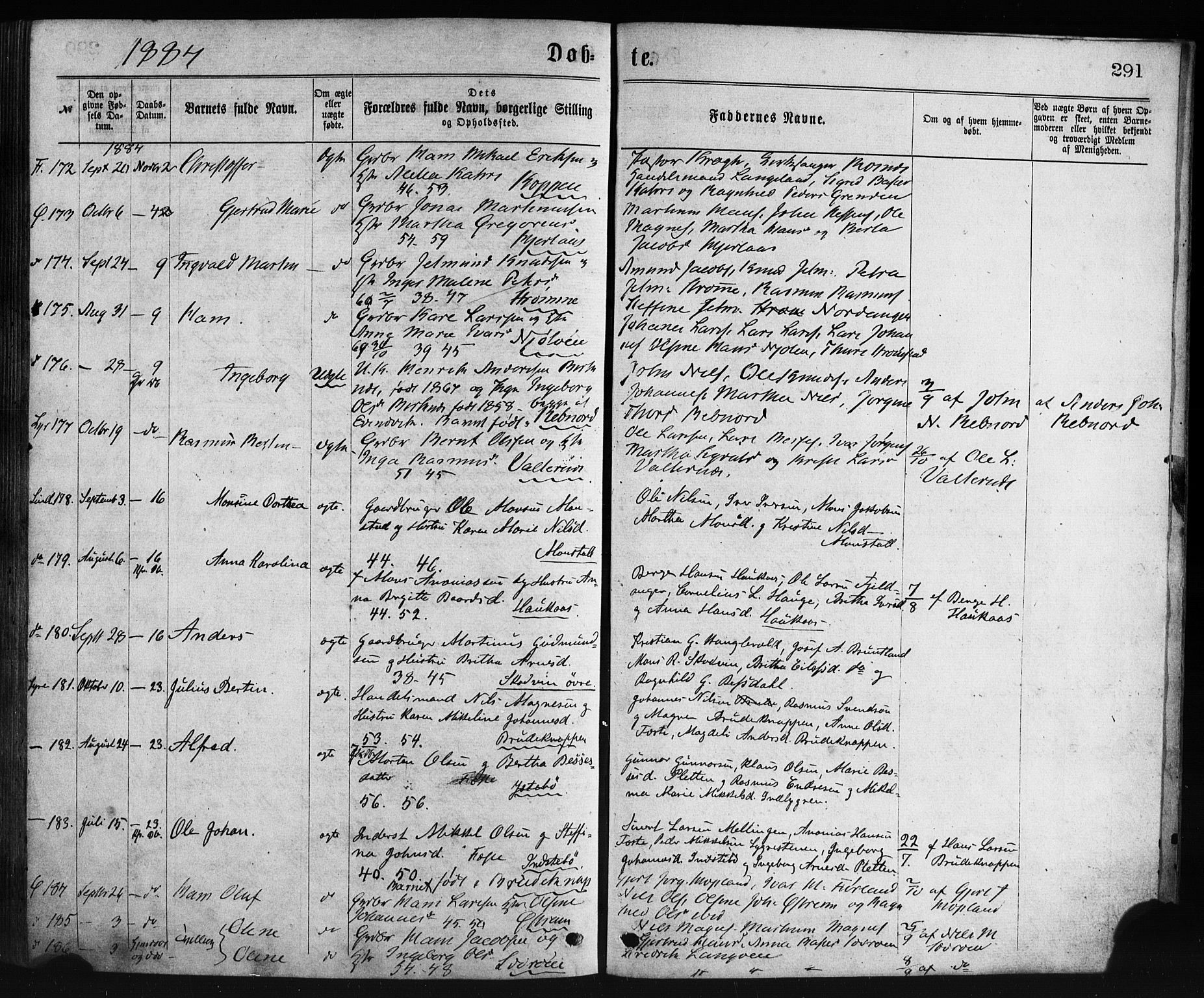 Lindås Sokneprestembete, AV/SAB-A-76701/H/Haa/Haaa/L0018: Ministerialbok nr. A 18, 1869-1885, s. 291