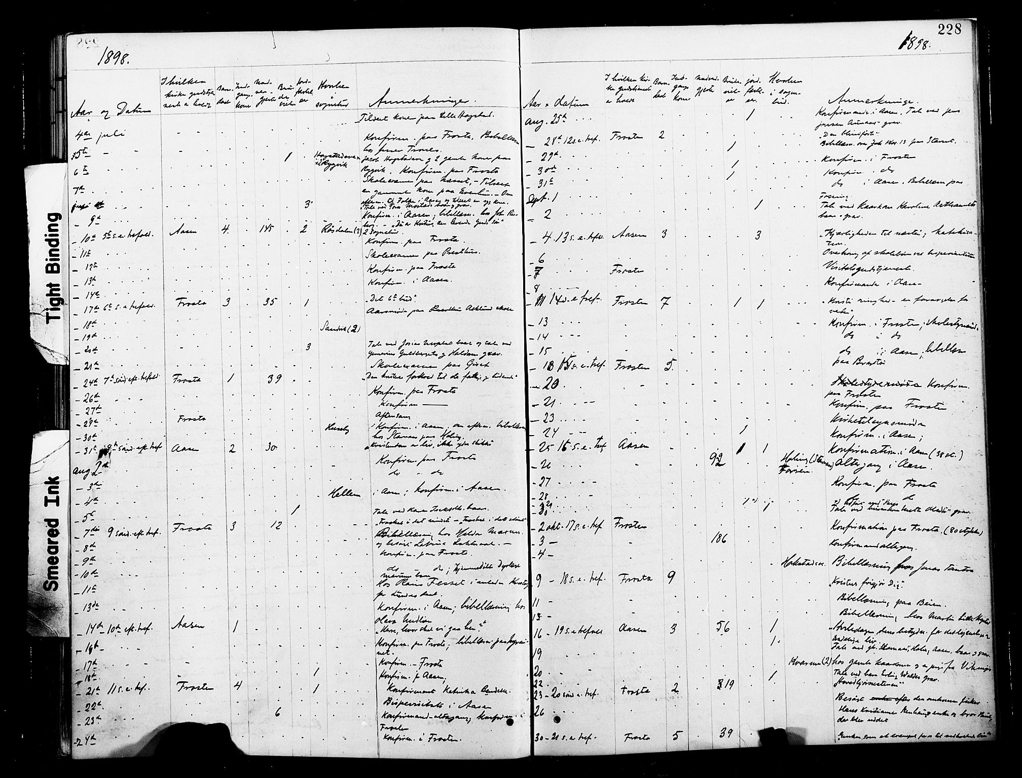 Ministerialprotokoller, klokkerbøker og fødselsregistre - Nord-Trøndelag, SAT/A-1458/713/L0121: Ministerialbok nr. 713A10, 1888-1898, s. 228